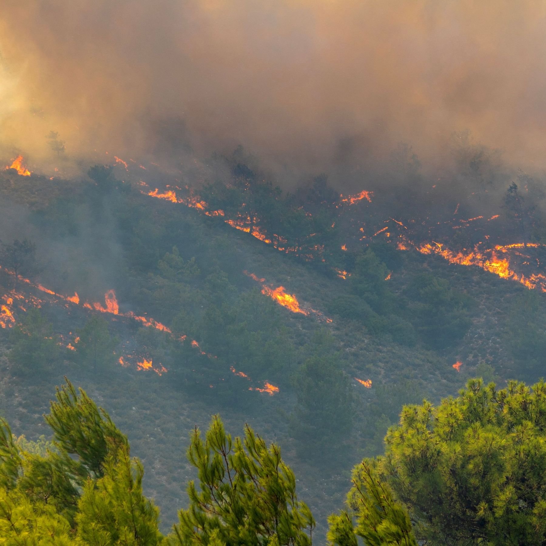 Emergency Appeal: Help Families Affected by the Devasta campaign photo, 5 of 8