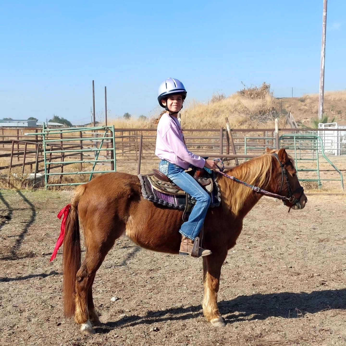 Help My Parents Recover After Ranch Theft campaign photo, 5 of 8