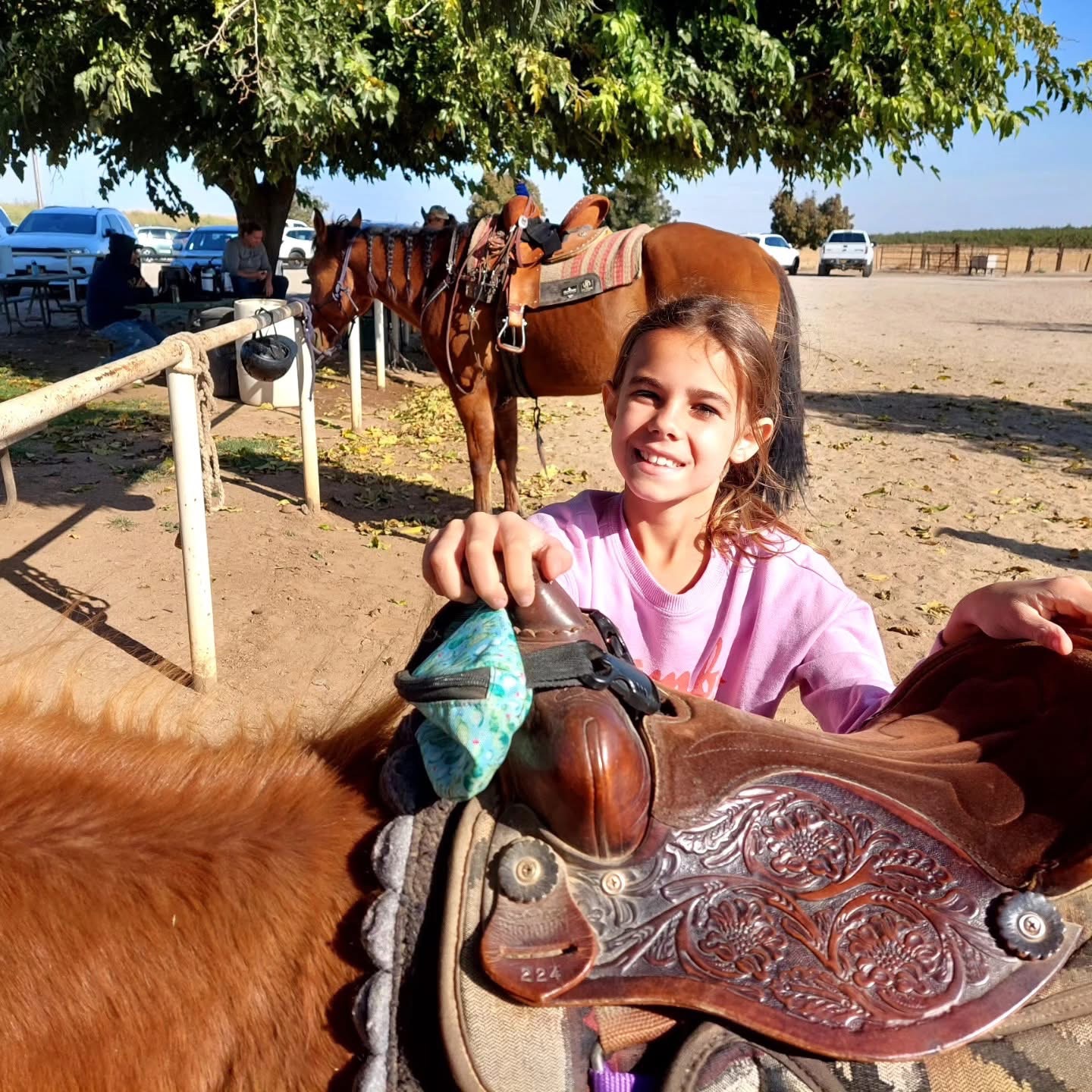 Help My Parents Recover After Ranch Theft campaign photo, 4 of 8