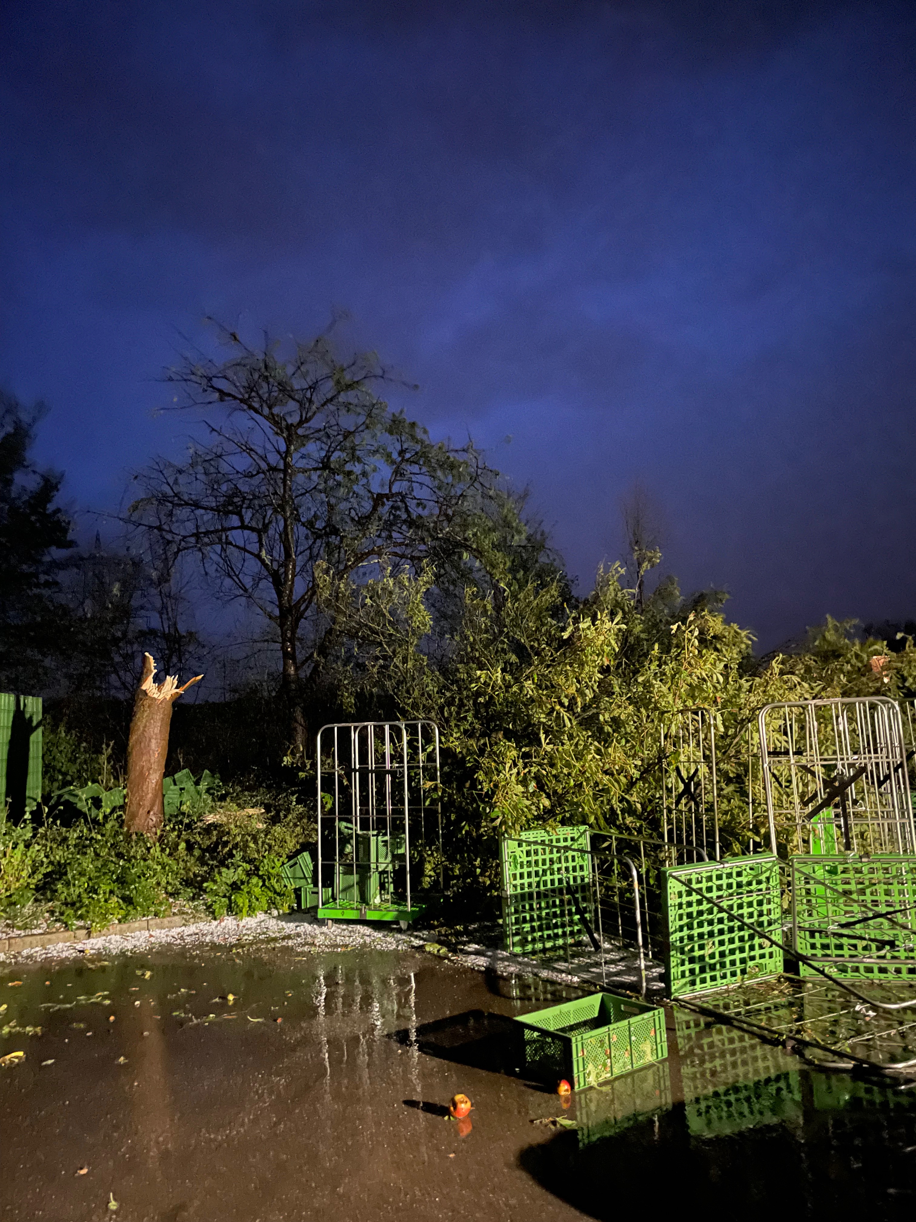 Biogärtnerei in Not Hagel & Sturmschaden campaign photo, 6 of 8