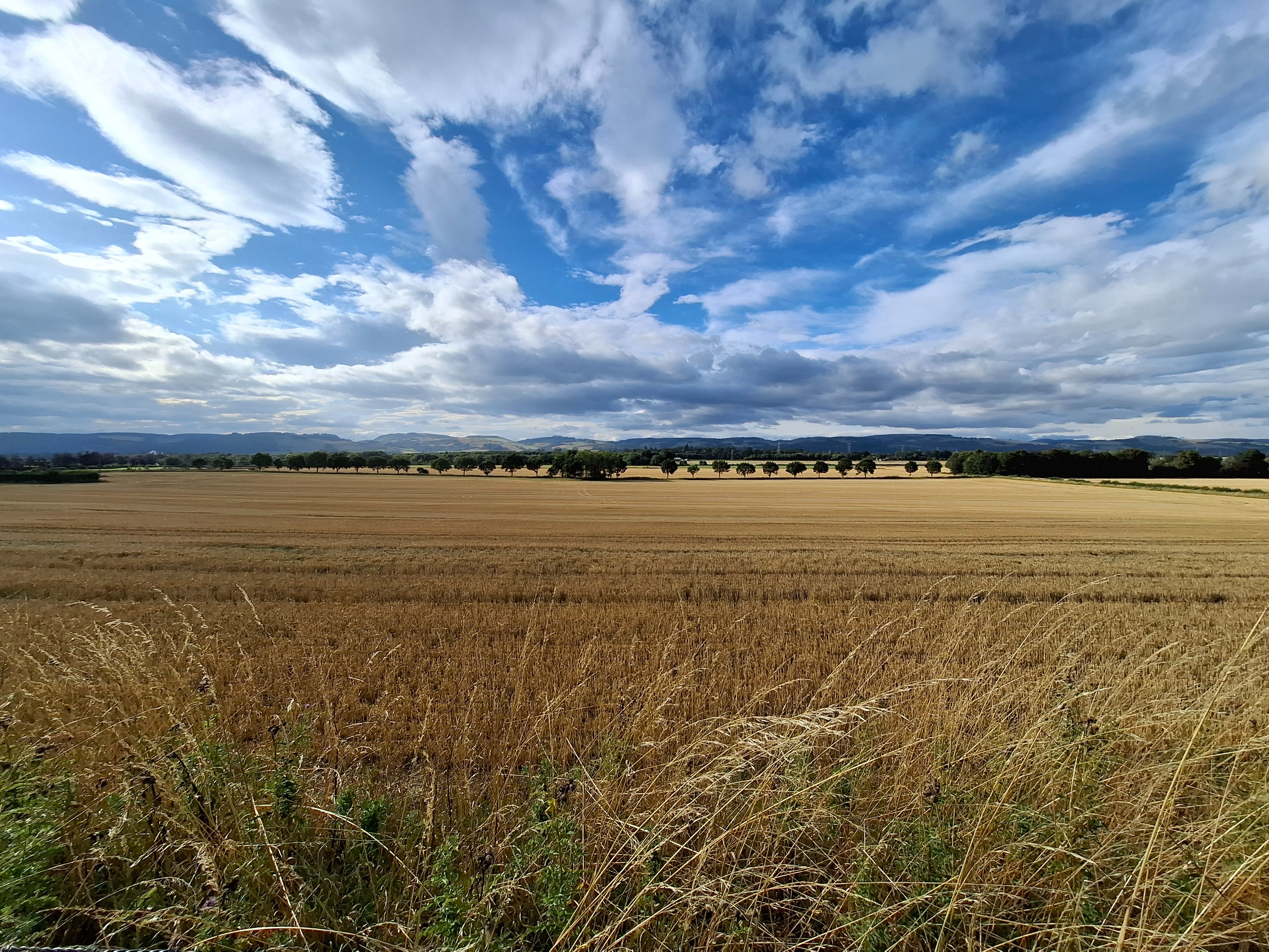 Save the Carse - Crops not Watts! campaign photo, 2 of 4