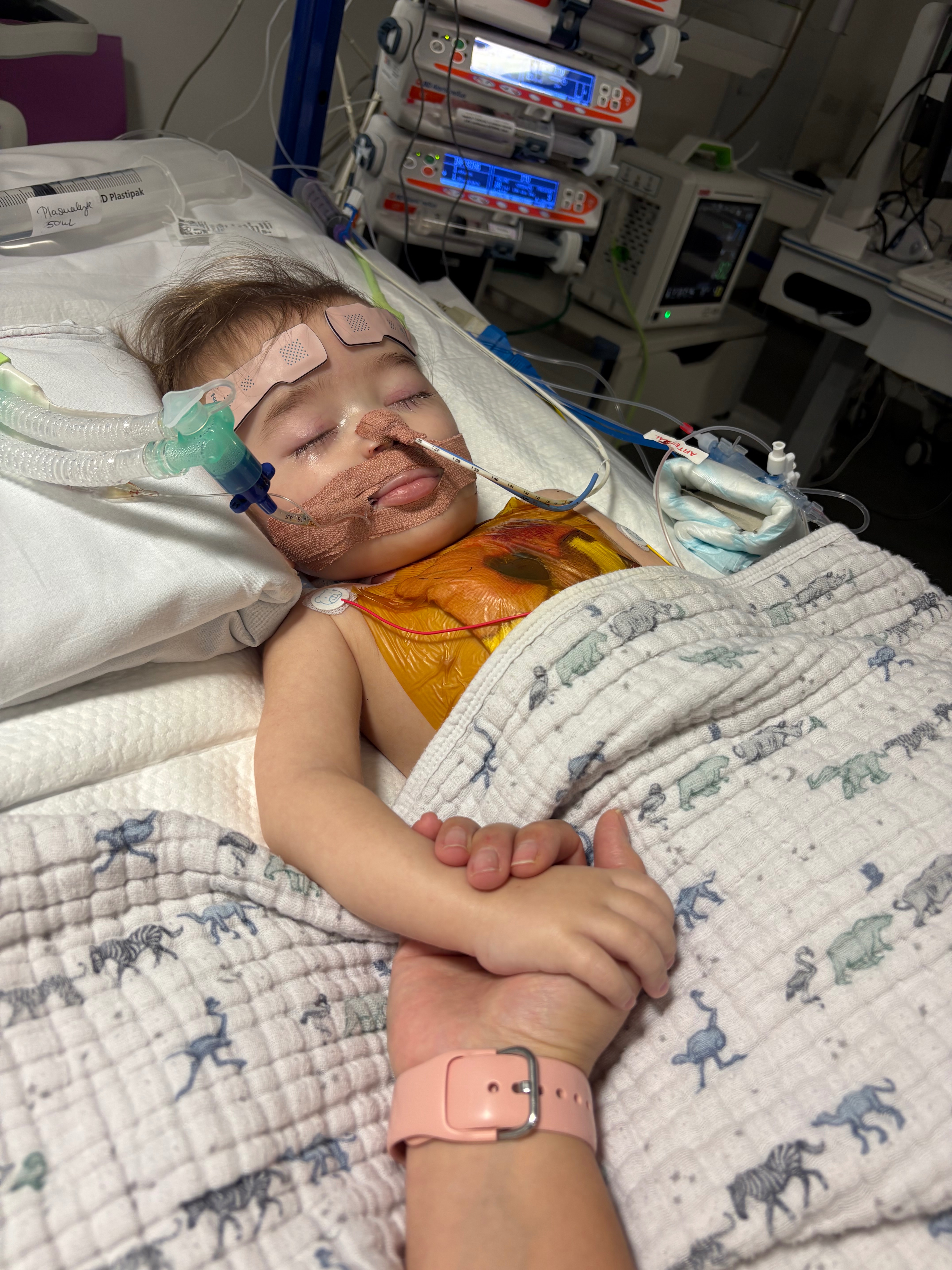 Help Save Sebastian's Life campaign photo, 4 of 8