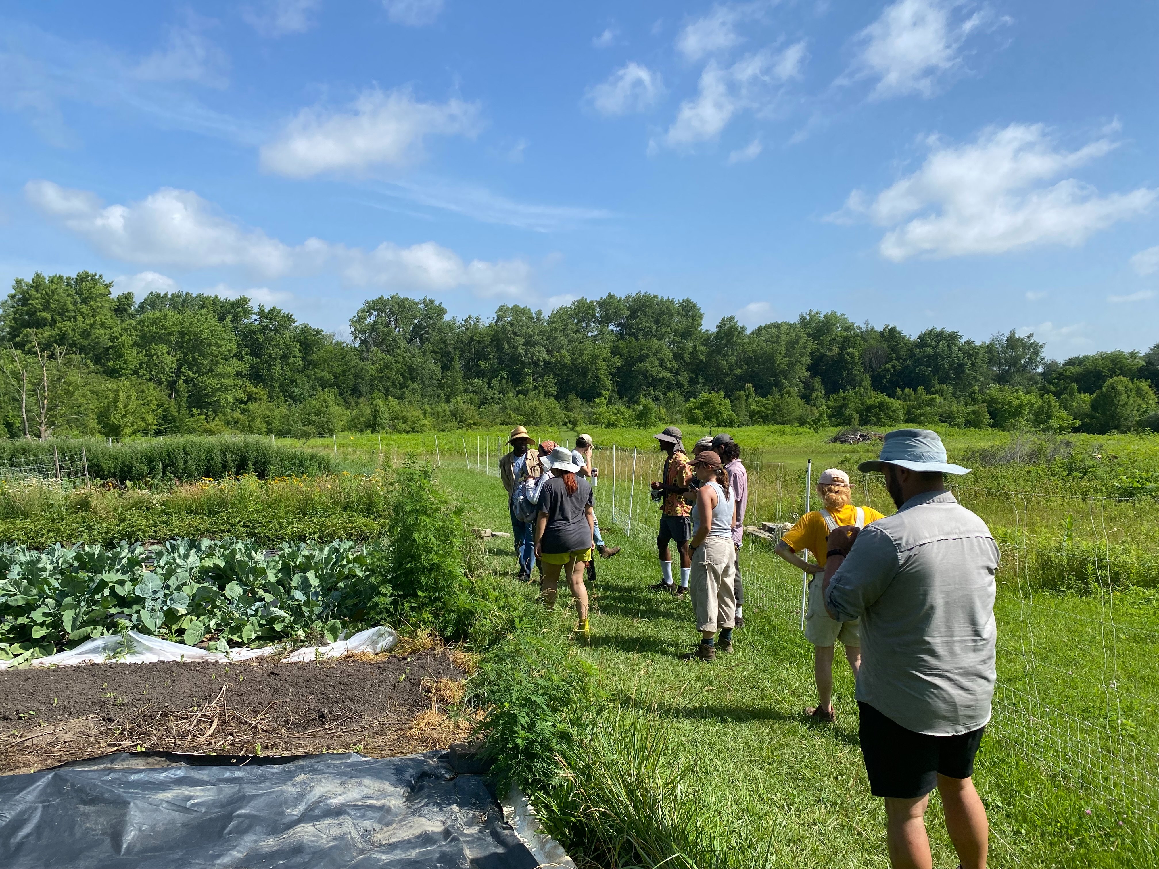 Support Bellwood Farms campaign photo, 2 of 7