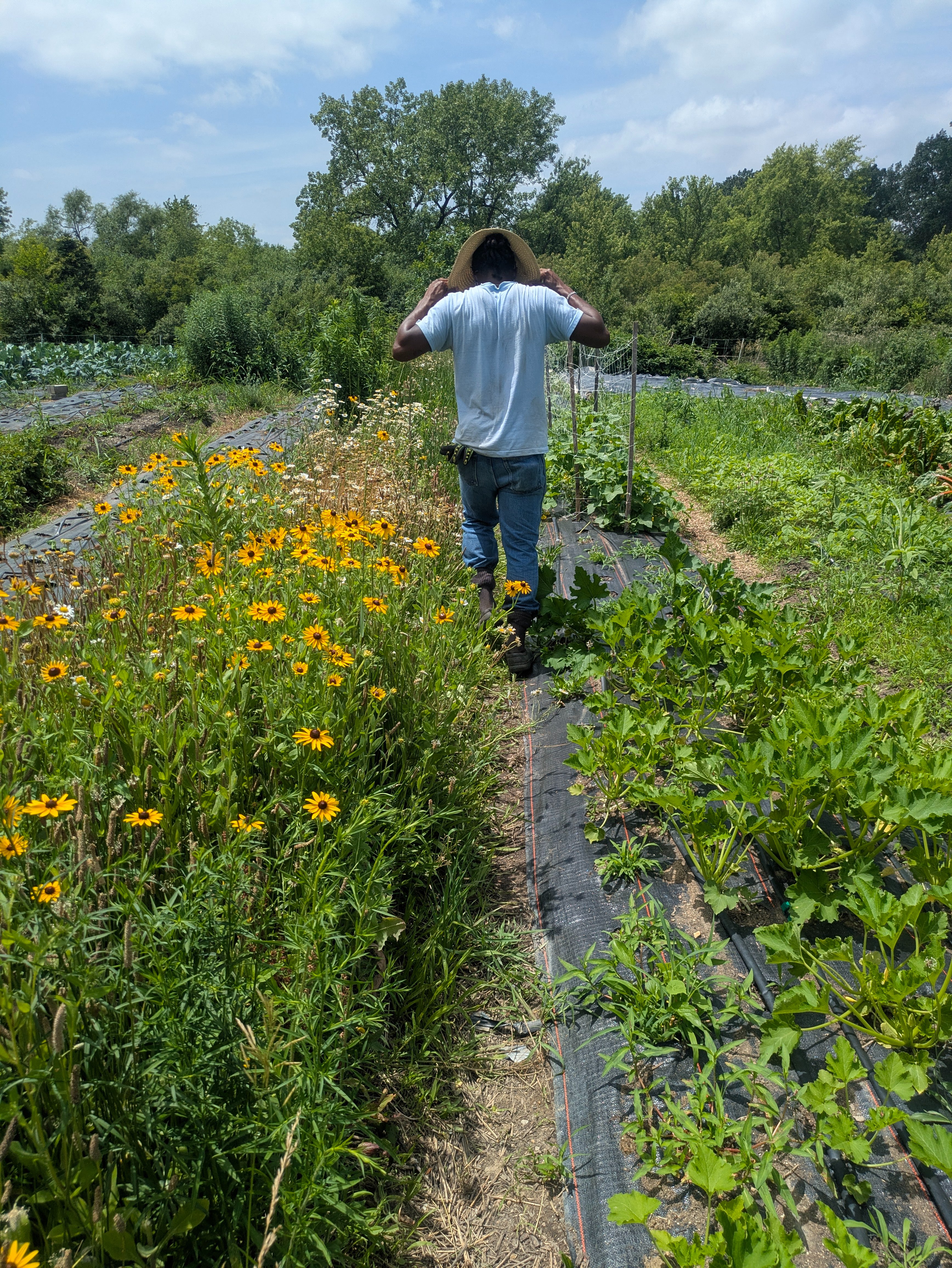 Support Bellwood Farms campaign photo, 5 of 7