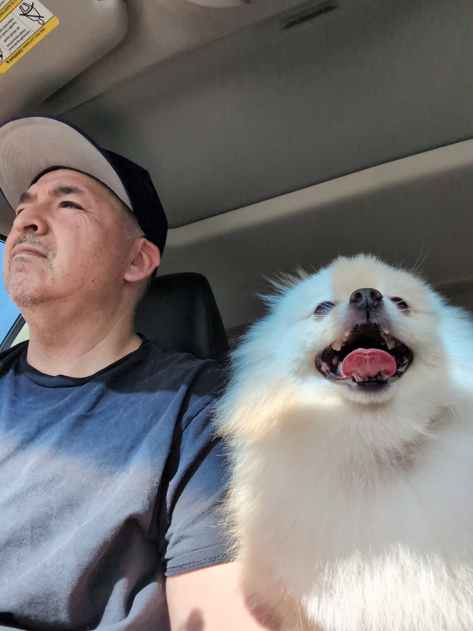 Help Ray and Rocco With Surgery campaign photo, 2 of 8