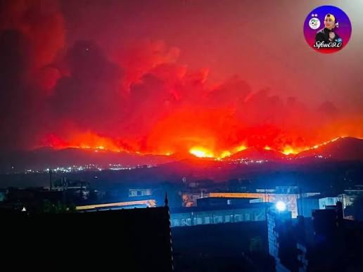Food and Supplies for Jijel Fire Victims campaign photo, 4 of 7