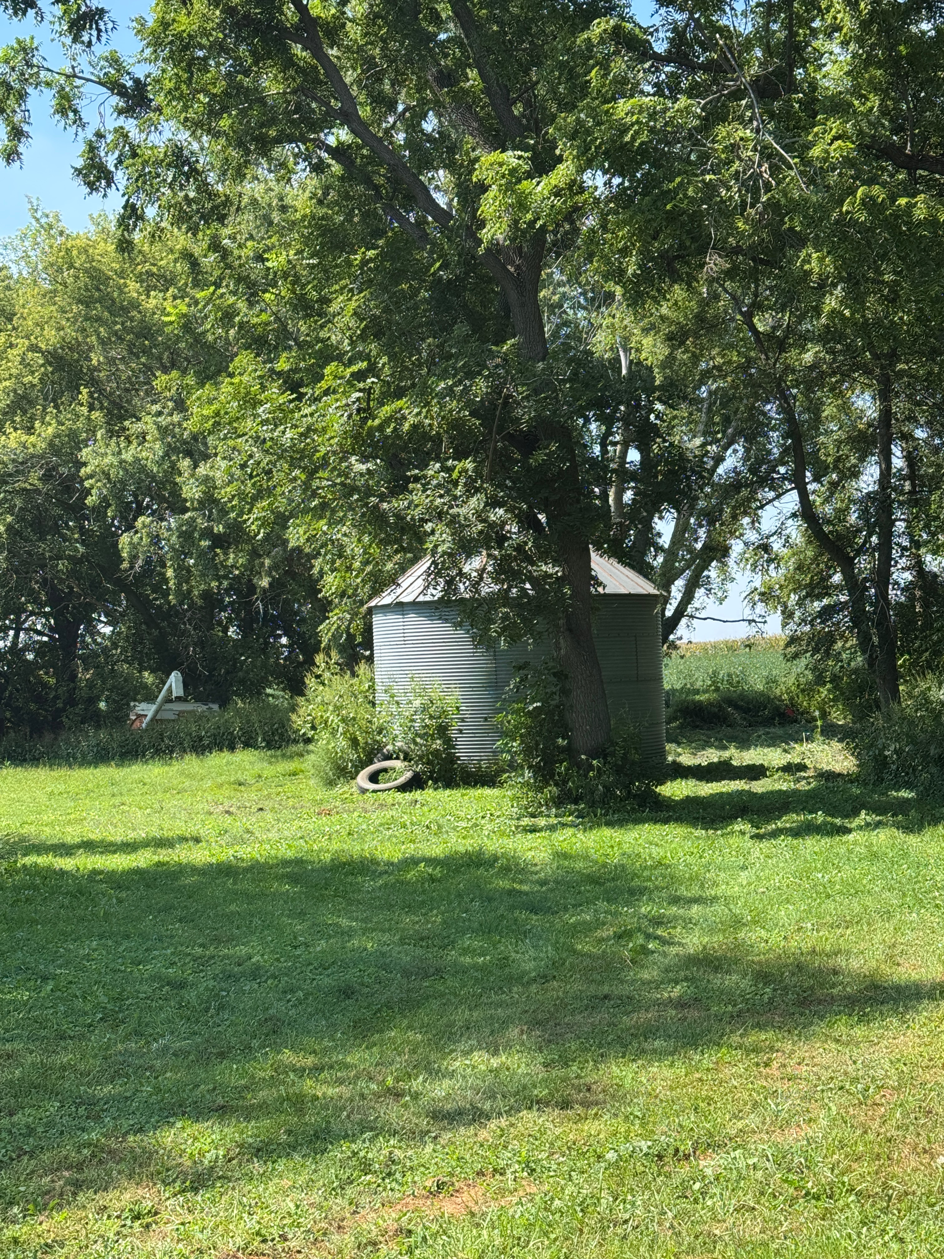 Help Build the Respectfully Feral Sanctuary campaign photo, 5 of 8