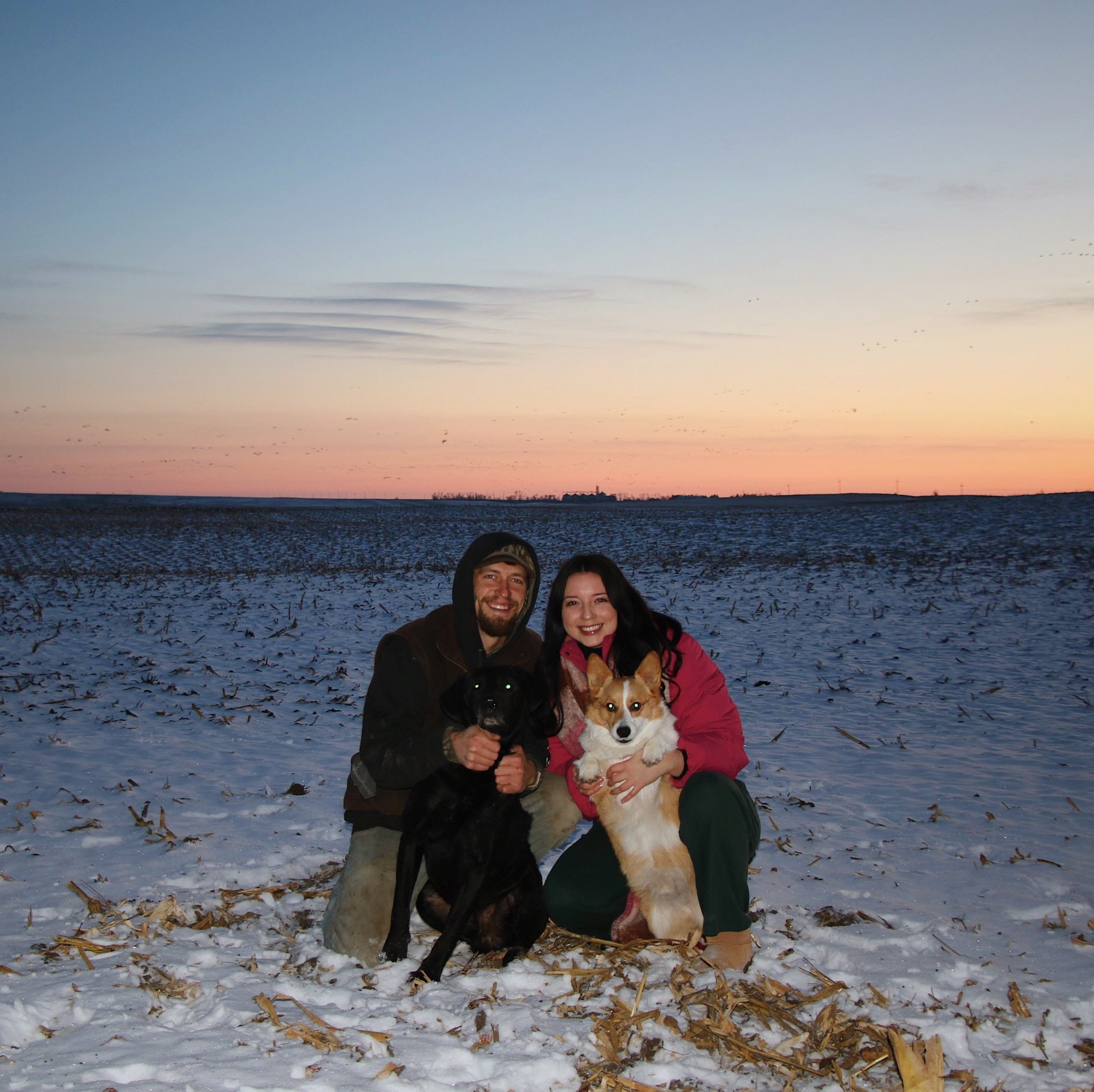 Support Bridger’s Emergency Vet Care campaign photo, 2 of 5