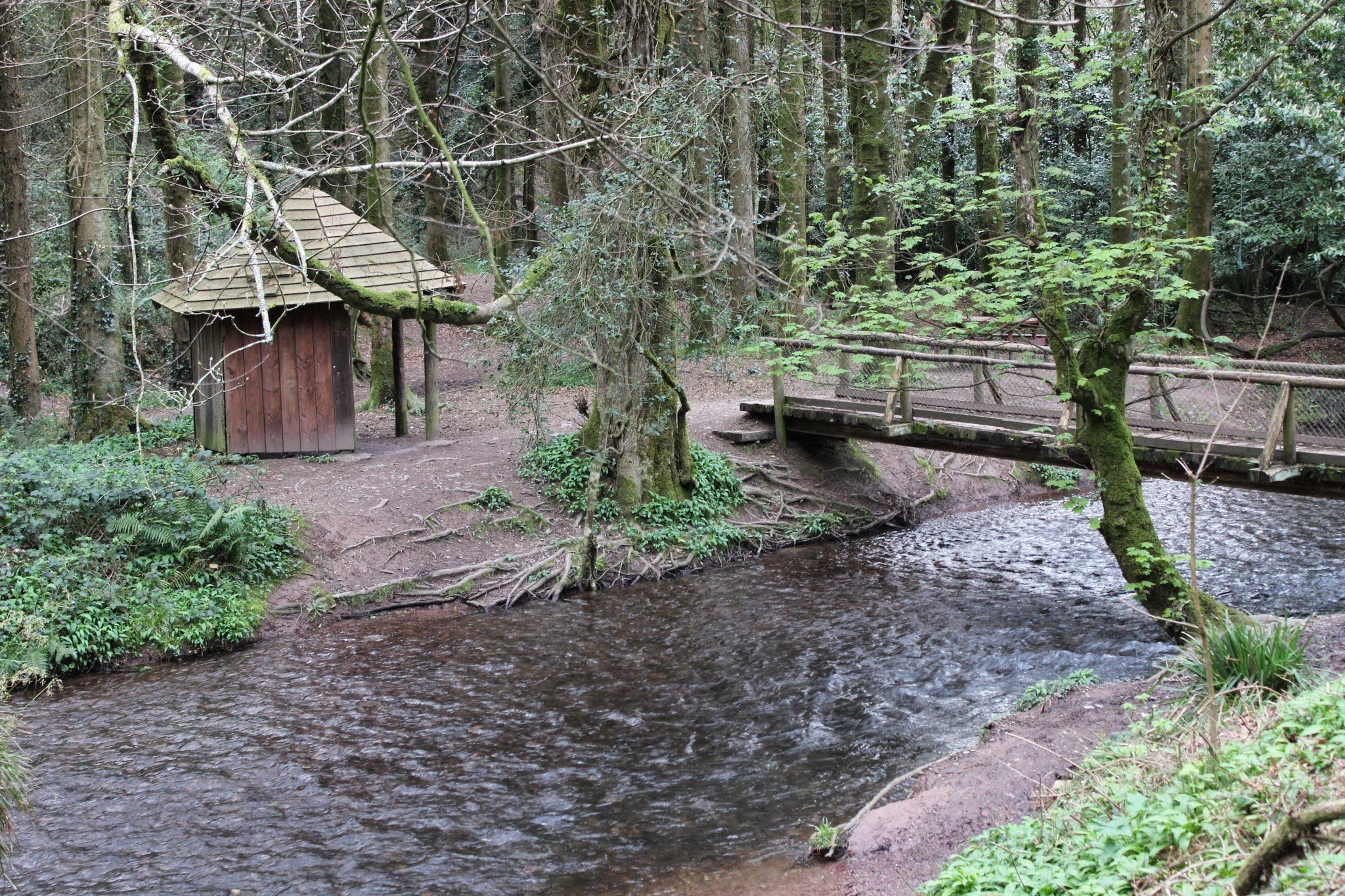 Development of Glenbower Woods campaign photo, 4 of 5