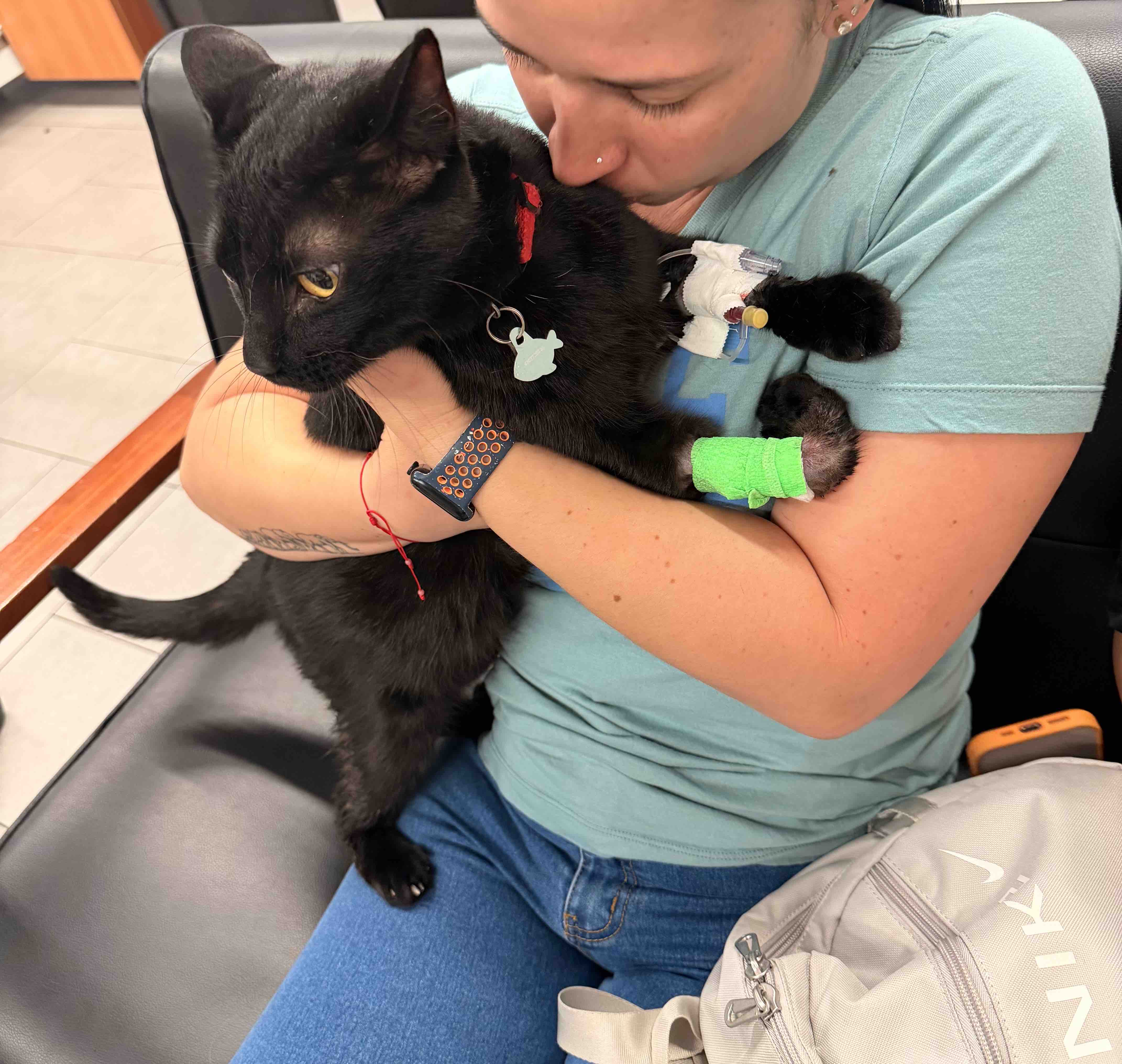 Help Onix Survive ER Surgery-Urinary Blockage campaign photo, 4 of 8