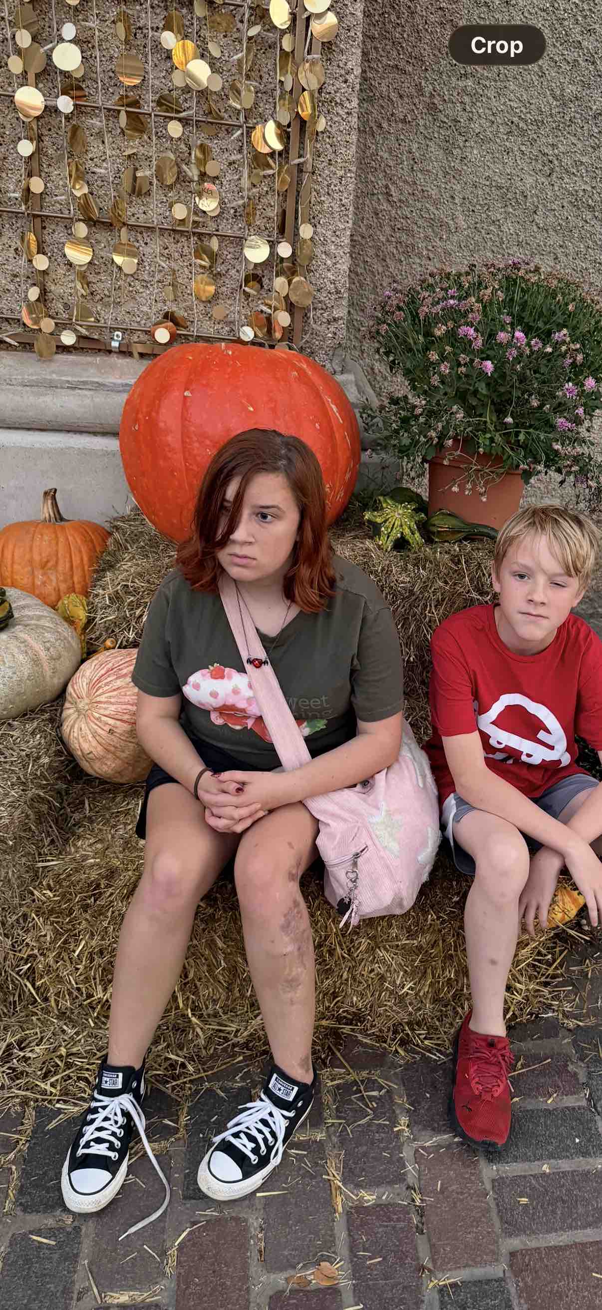 Ireland Covington Needs a Psychiatric Service Dog campaign photo, 7 of 11