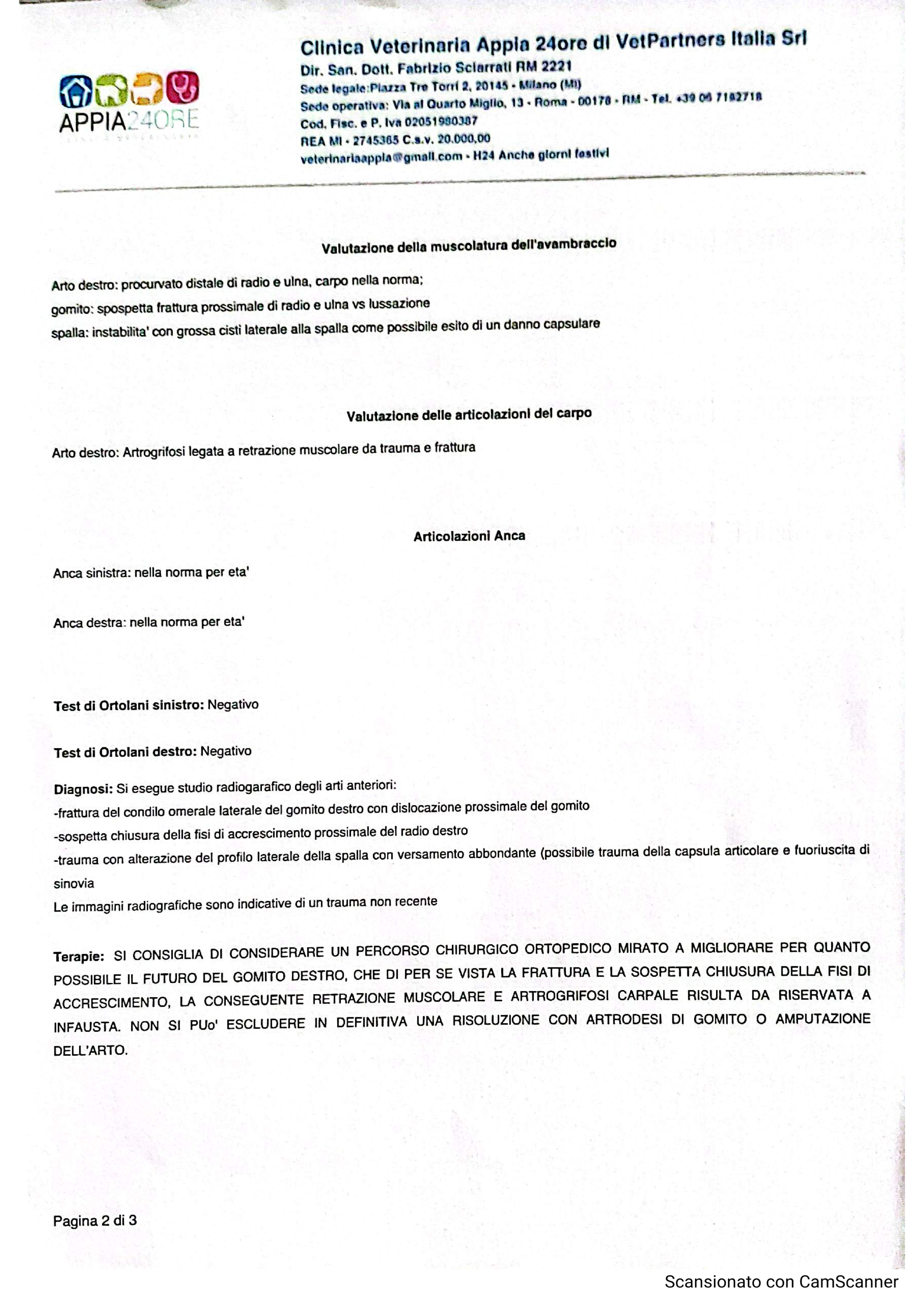 Enea, il diritto di correre campaign photo, 5 of 8