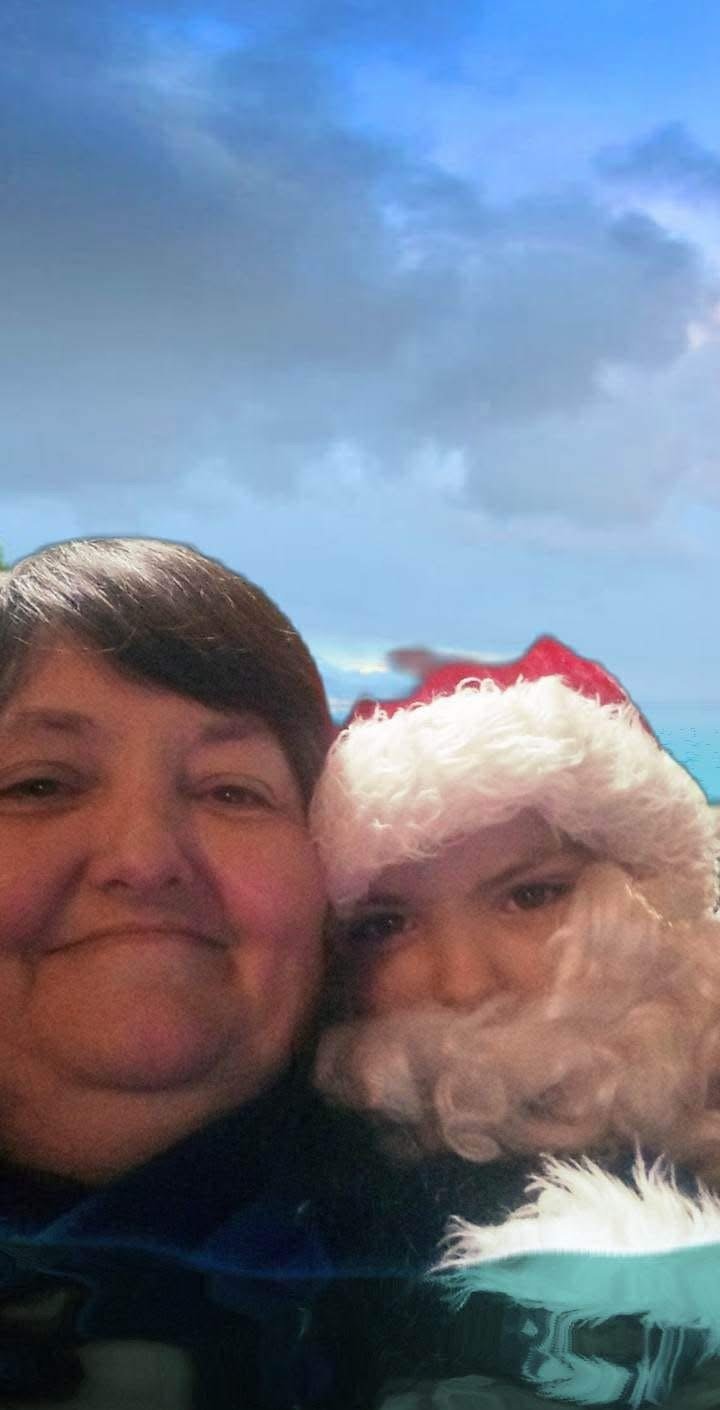 Angela Widgeon  Support Woods Family After Tragic Loss gofundme donation