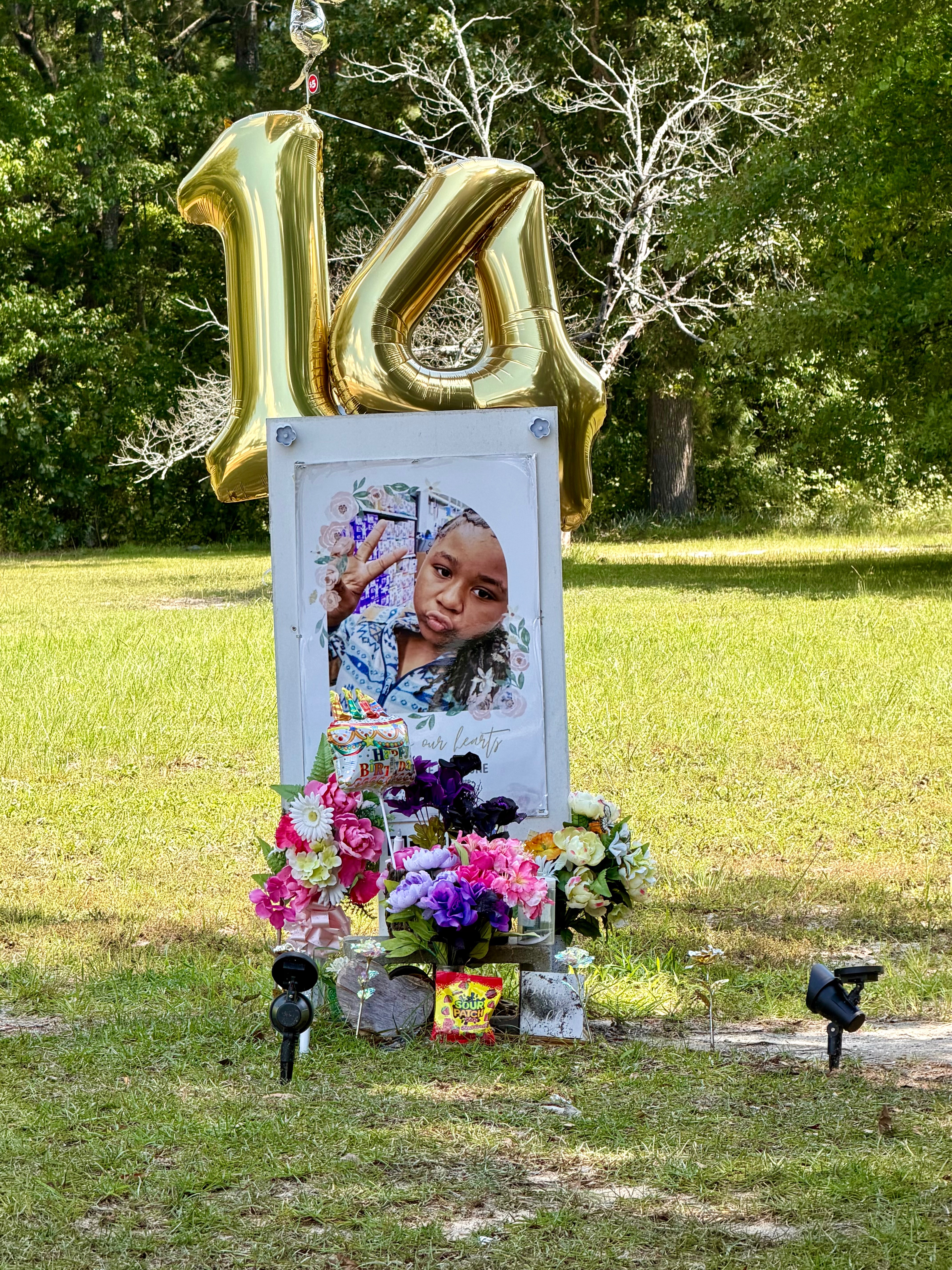Justice for Jaleeyah “Lee Lee” Tune Help Her Family Fight campaign photo, 7 of 8