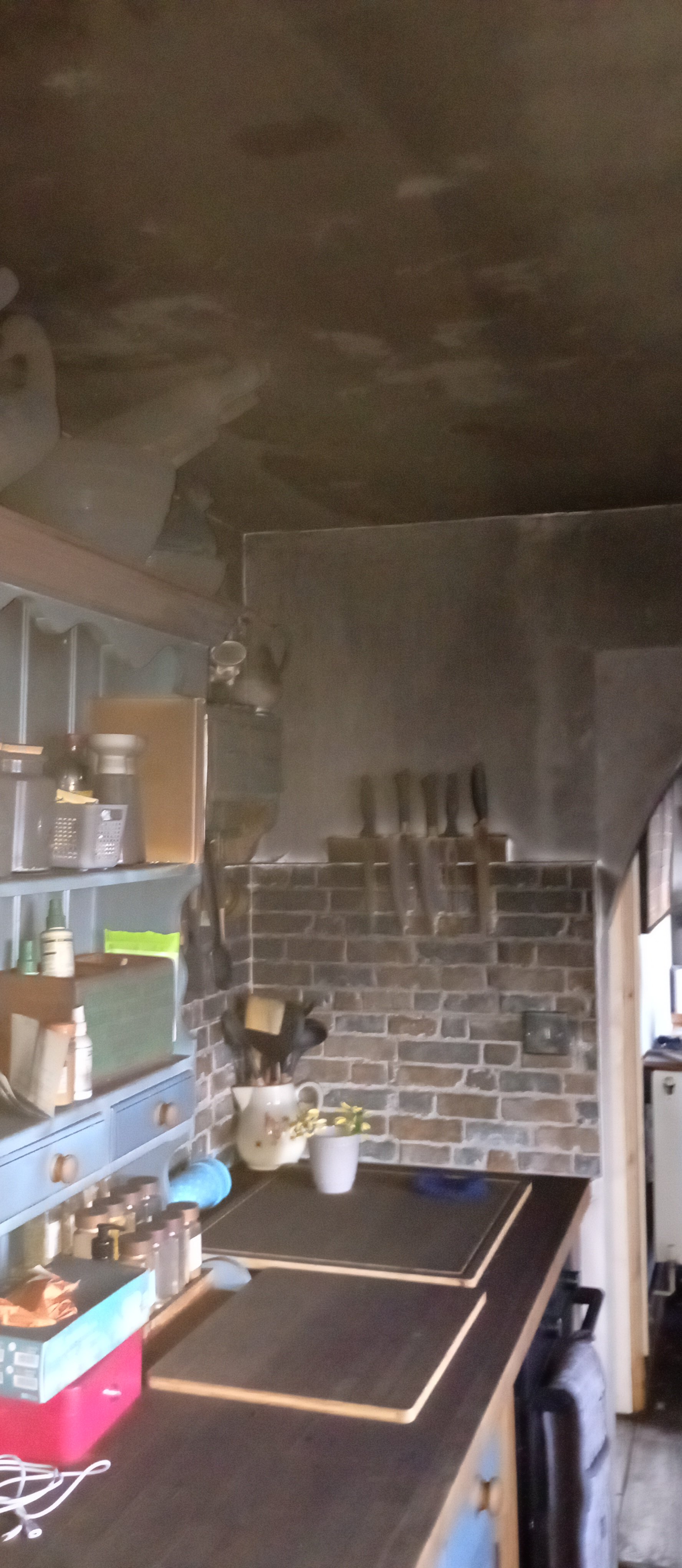 Recover from an arson attack campaign photo, 9 of 10