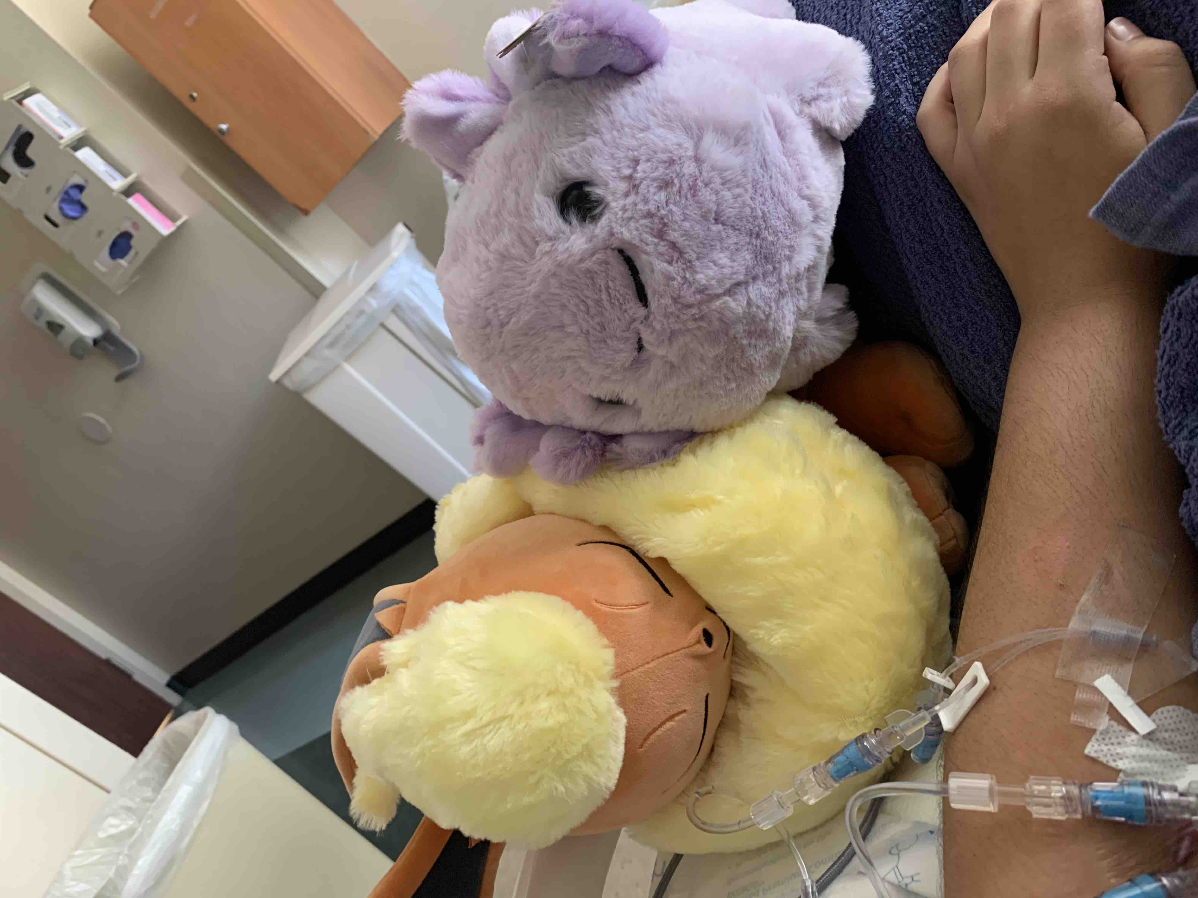 Help Sabrina Heal and Return to Med School campaign photo, 8 of 10