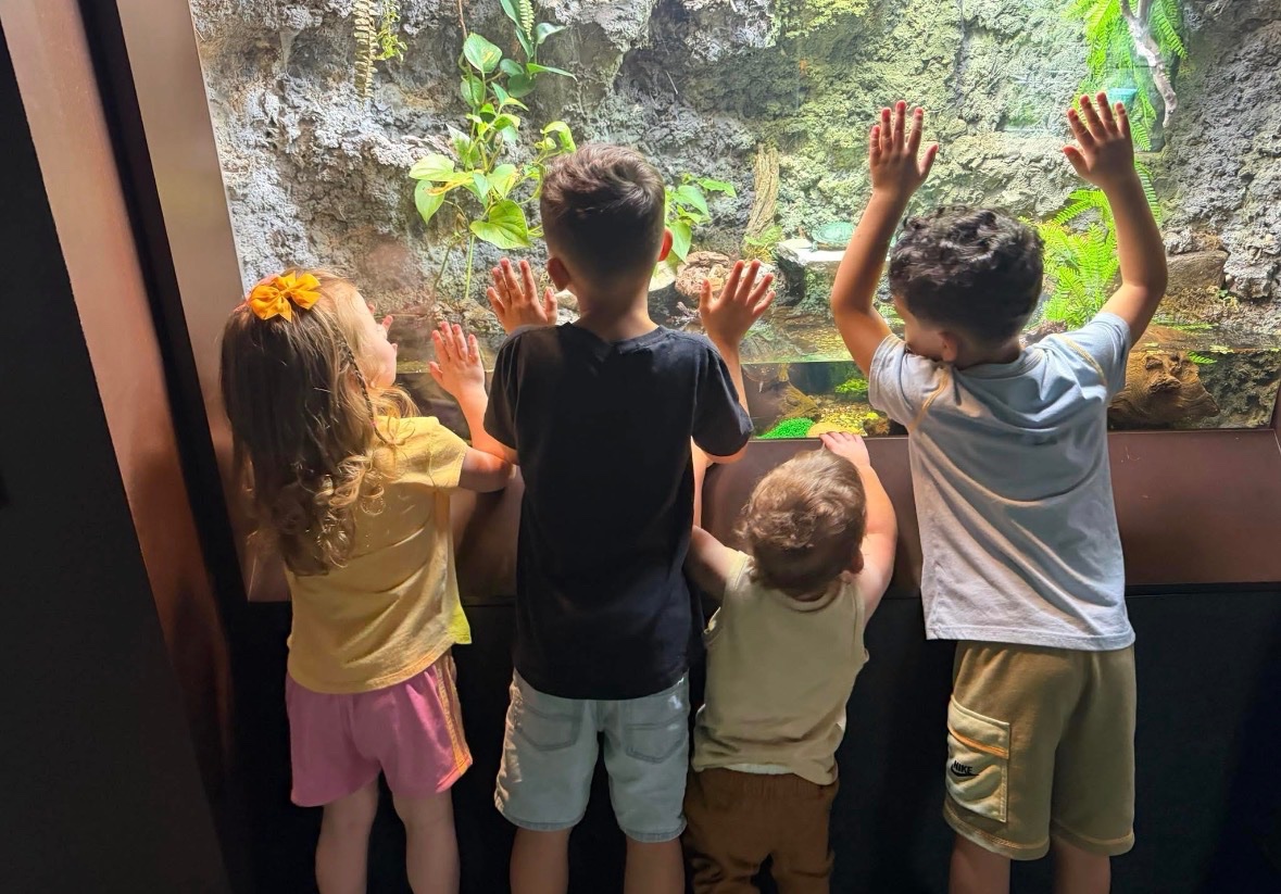 Help Caitlyn and her children Rebuild After Fire campaign photo, 4 of 5