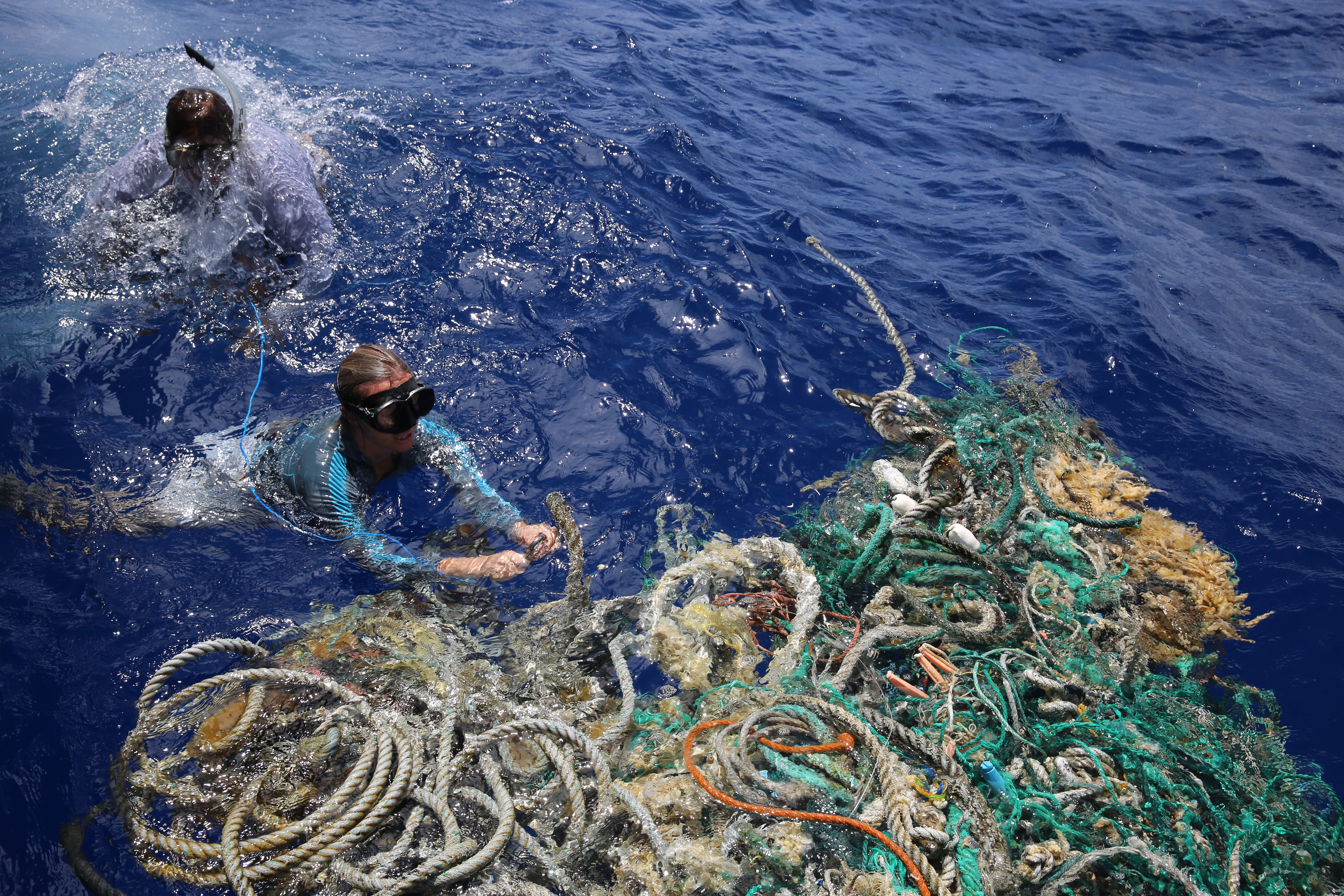 SCIENCE AT SEA - From Plastic Pollution to Solutions campaign photo, 6 of 7