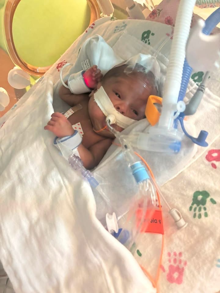 Ferria Jones Help Us Give Ja’Leia a Beautiful Homegoing gofundme donation