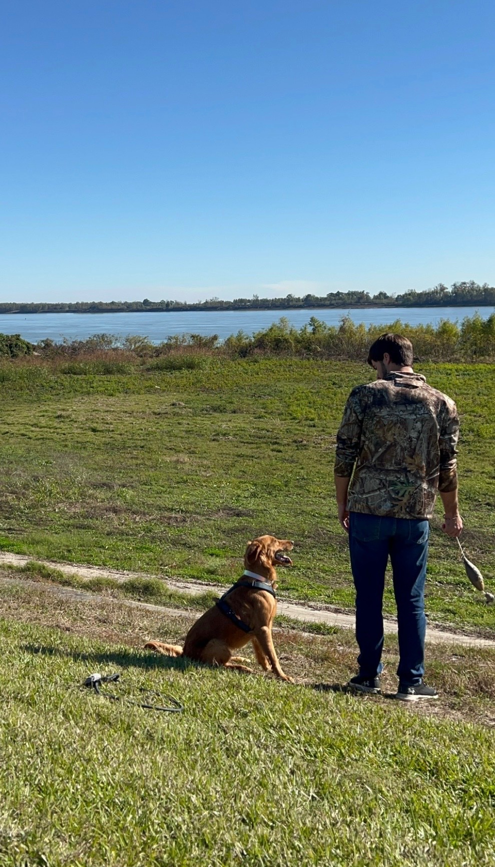 Help Save Ryver After a Rattlesnake Bite campaign photo, 5 of 8
