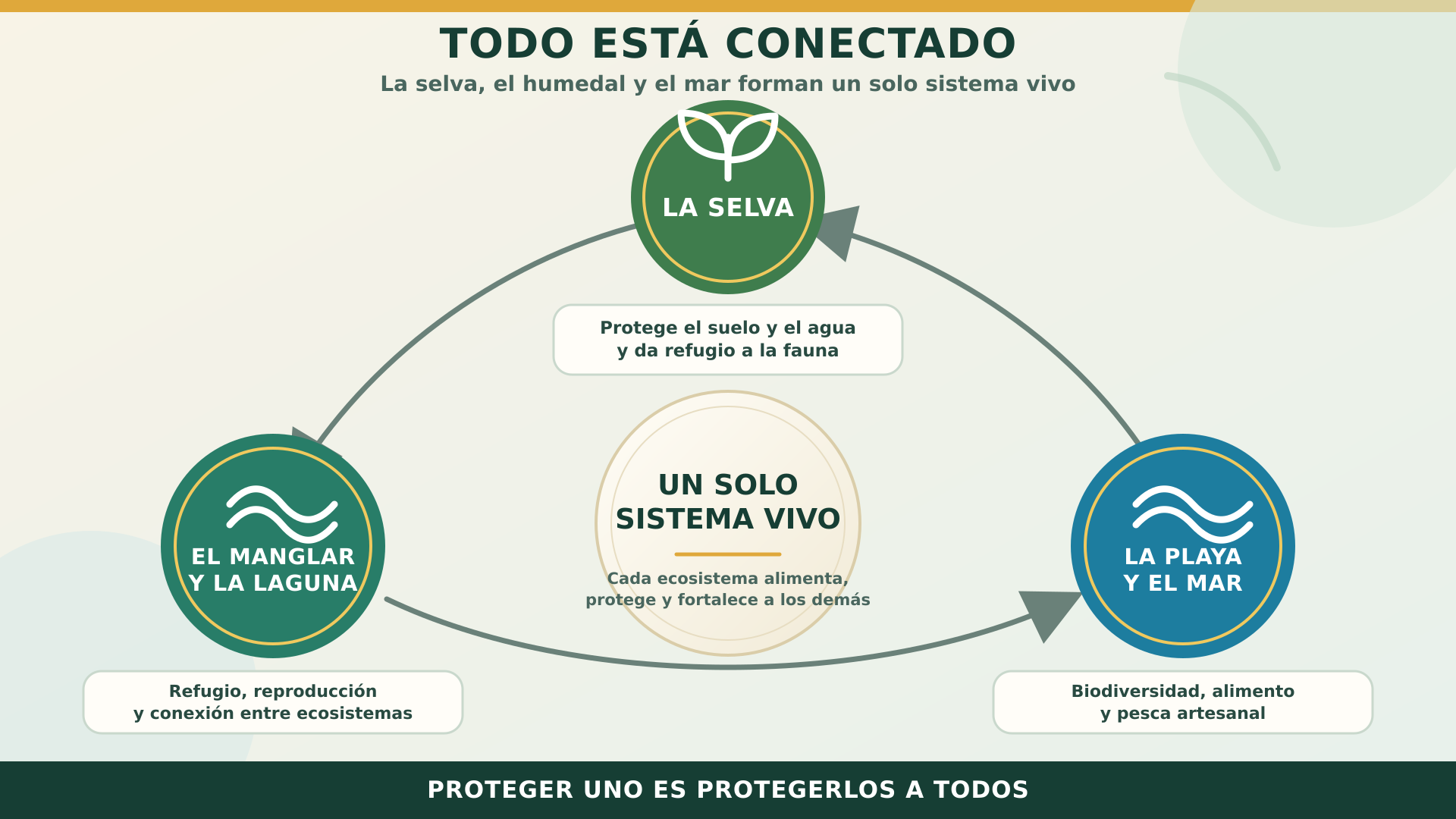 Conservación y Restauración de los Ecosistemas de Mazunte campaign photo, 4 of 5