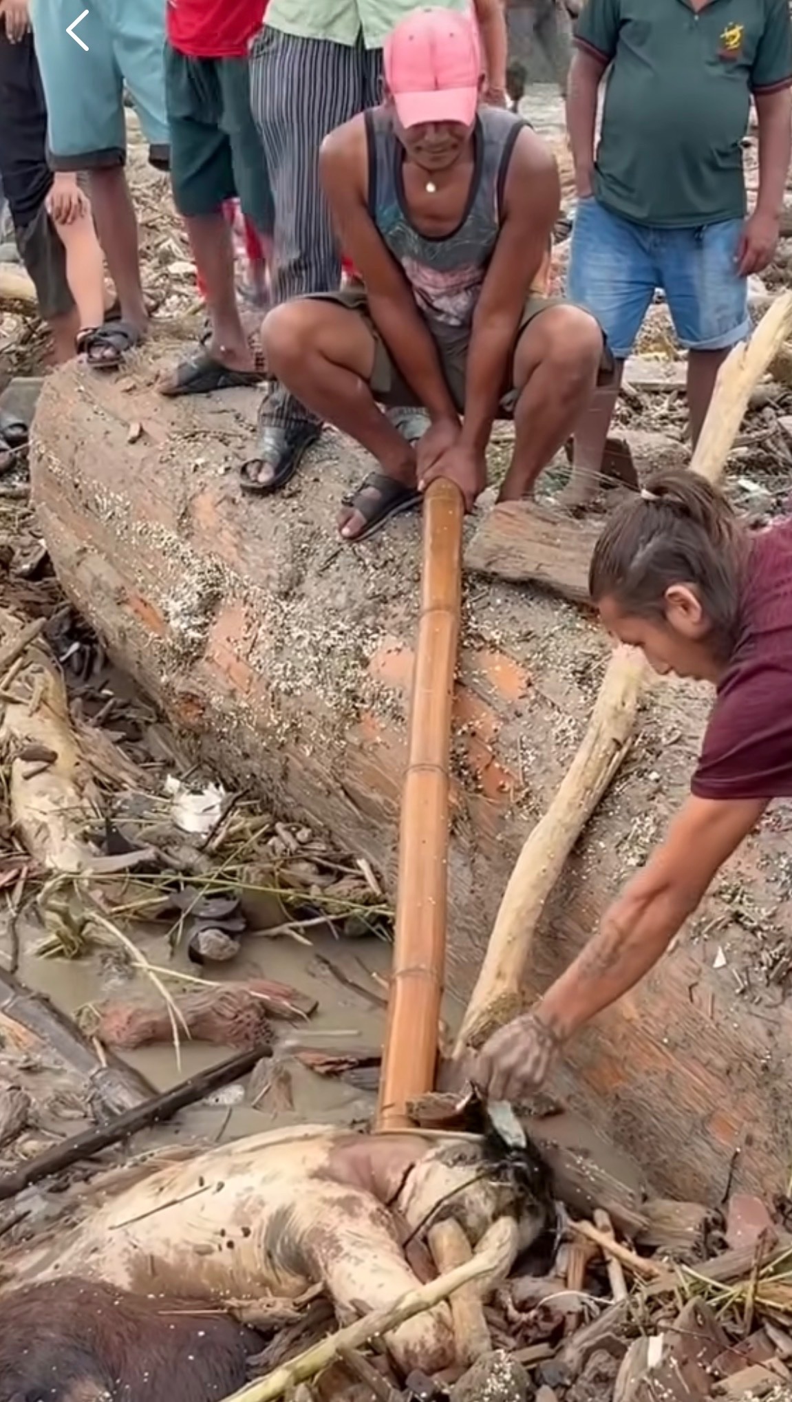 Support Nepal's Recovery from Floods and Rainfall campaign photo, 5 of 6