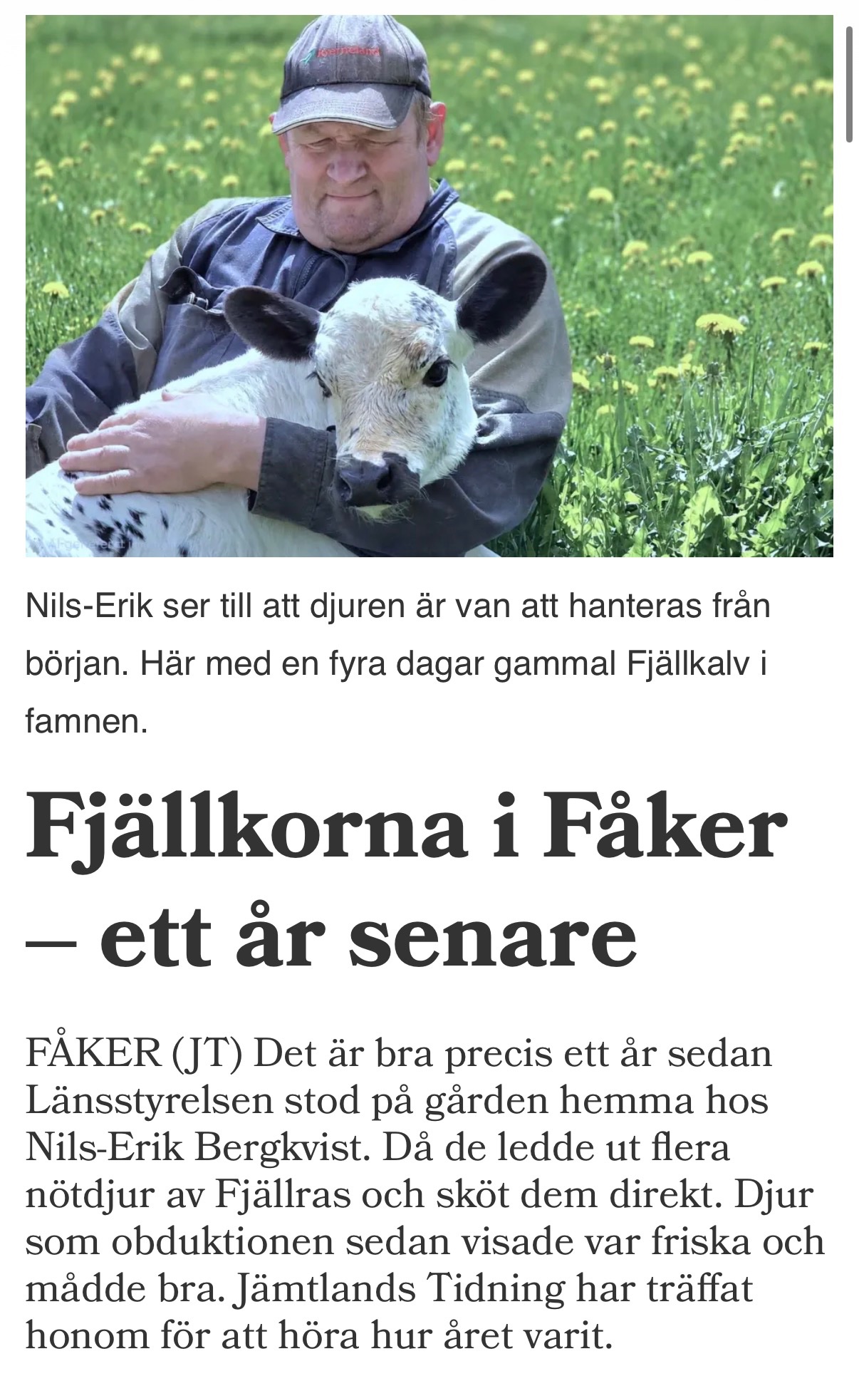 Hjälp Nisse och hans fjällkor i kampen mot Länsstyrelsen campaign photo, 2 of 7