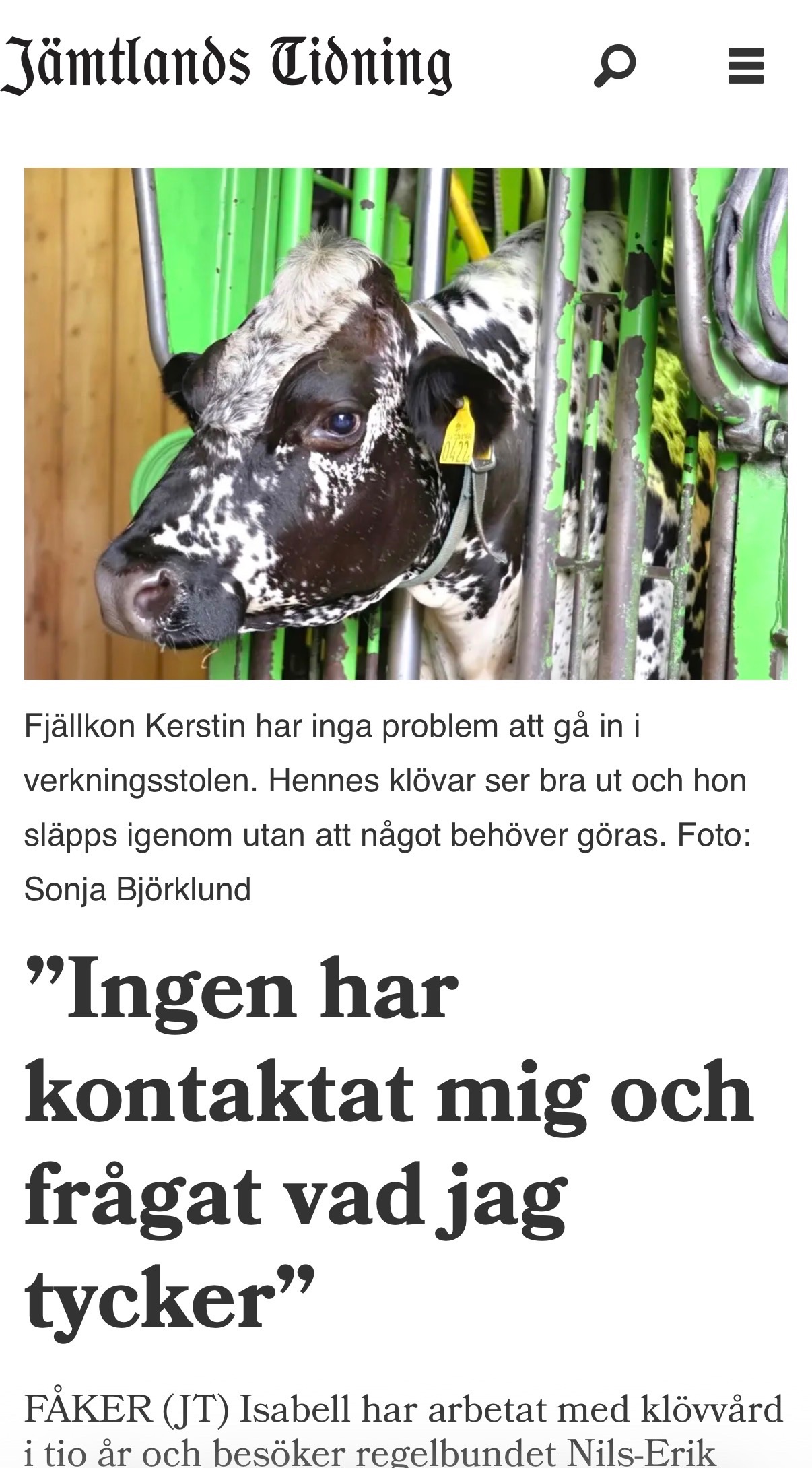 Hjälp Nisse och hans fjällkor i kampen mot Länsstyrelsen campaign photo, 5 of 7