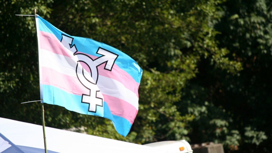 Support Advocates for Trans Equality workers facing layoff campaign photo, 2 of 6