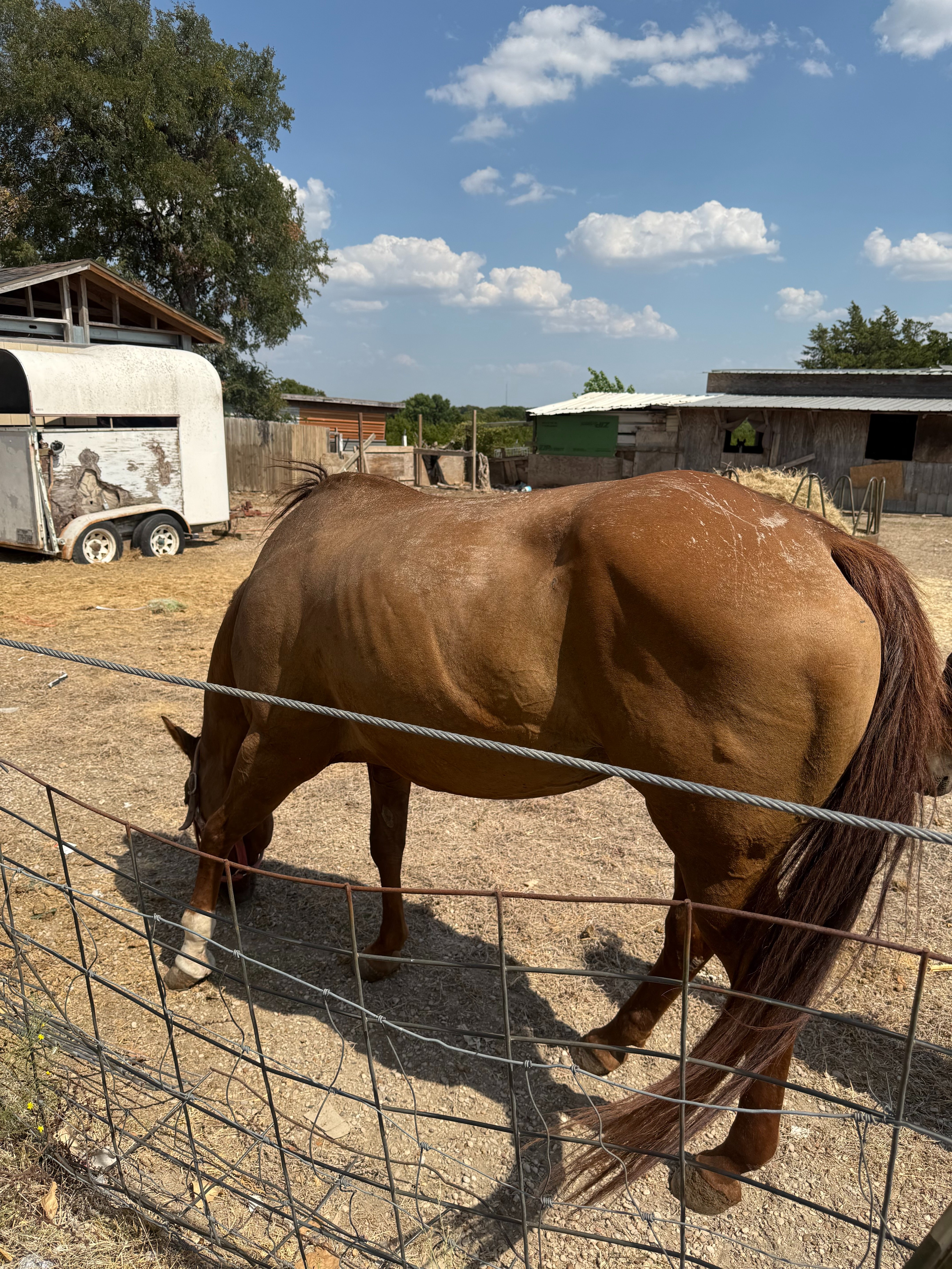 Help Bring Meche Home and Buy Her Freedom campaign photo, 2 of 5