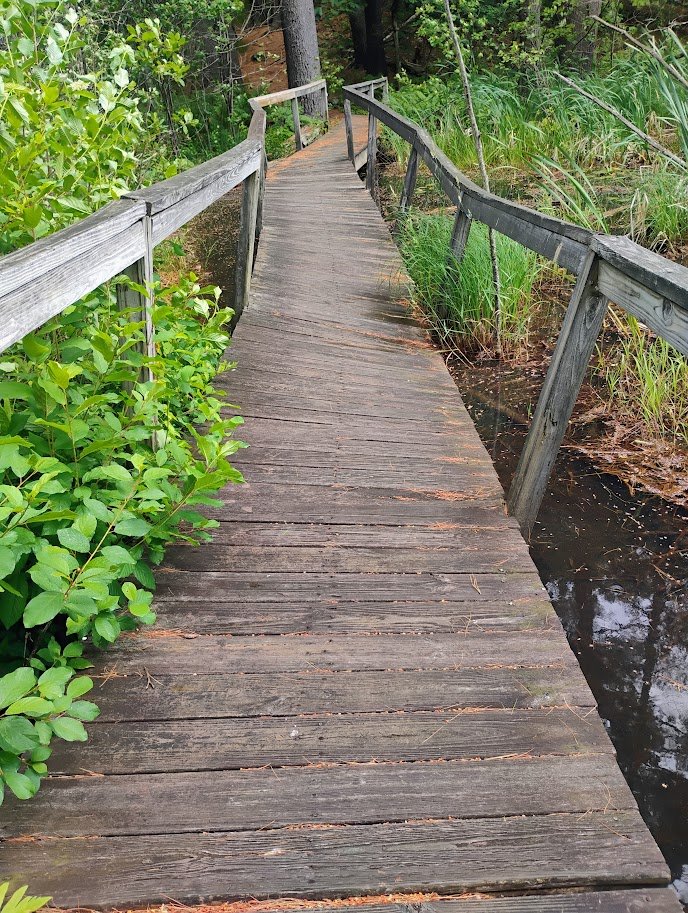 Erin's Boutwell Swamp Bridge Restoration Eagle Project campaign photo, 4 of 5