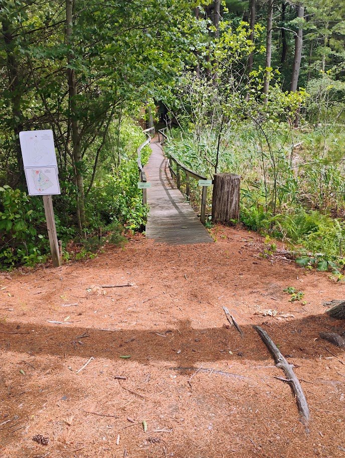 Erin's Boutwell Swamp Bridge Restoration Eagle Project campaign photo, 2 of 5