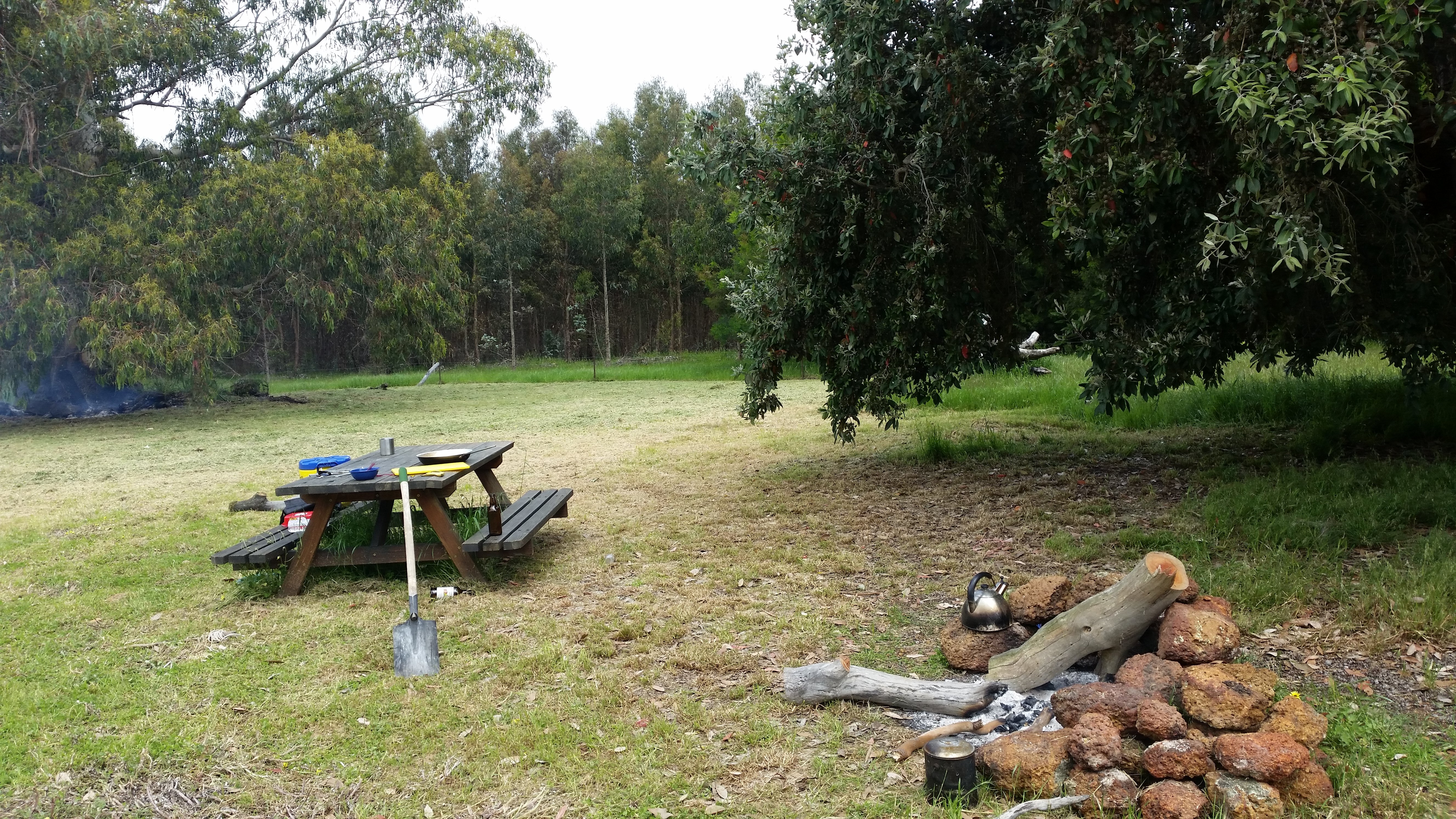 Help Me Save My Farm — Then Pay It Forward campaign photo, 2 of 4