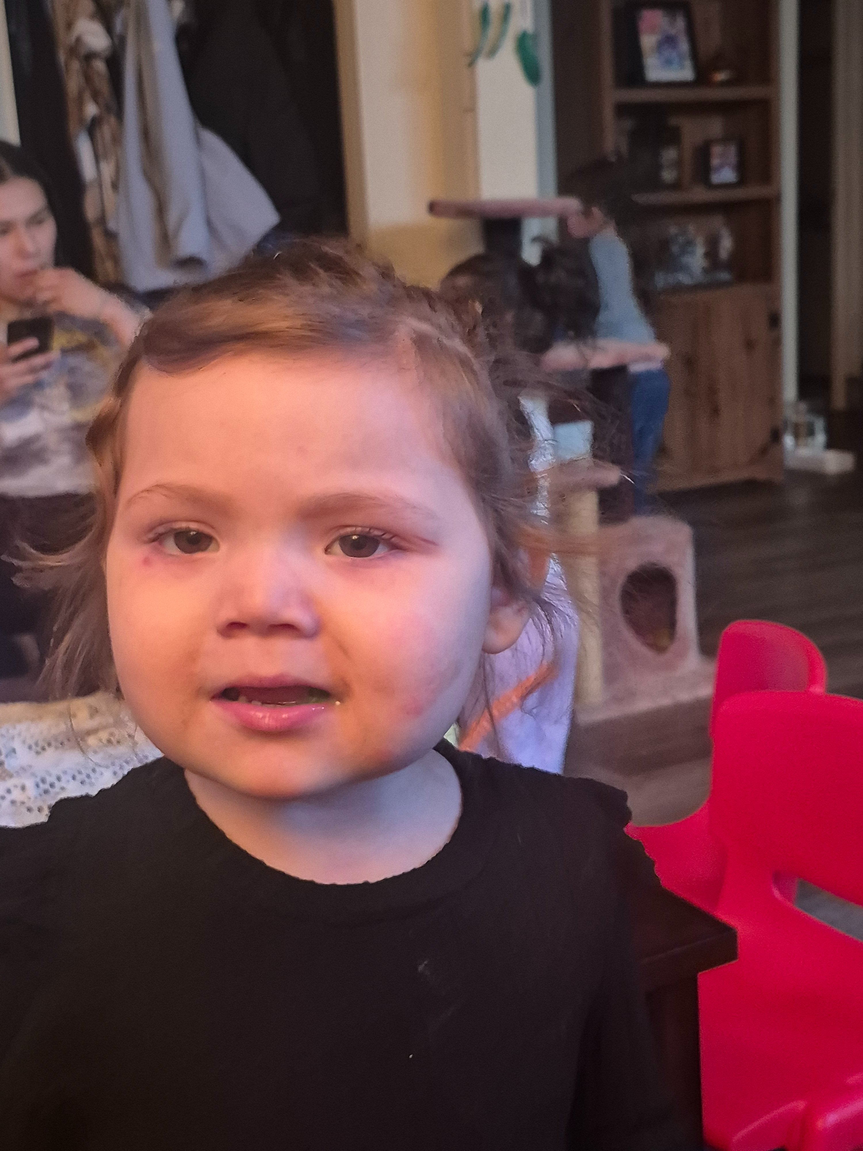 dianne anderson Krinda Marie caron gofundme donation