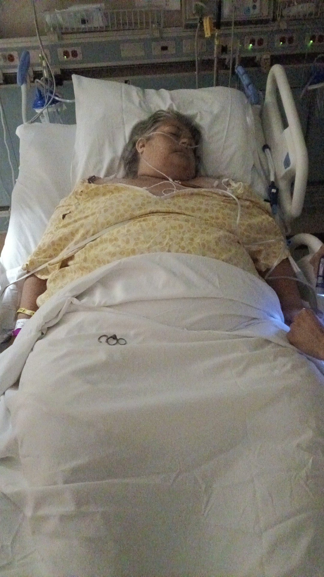 Elizabeth Woolery Shannon Templin gofundme donation