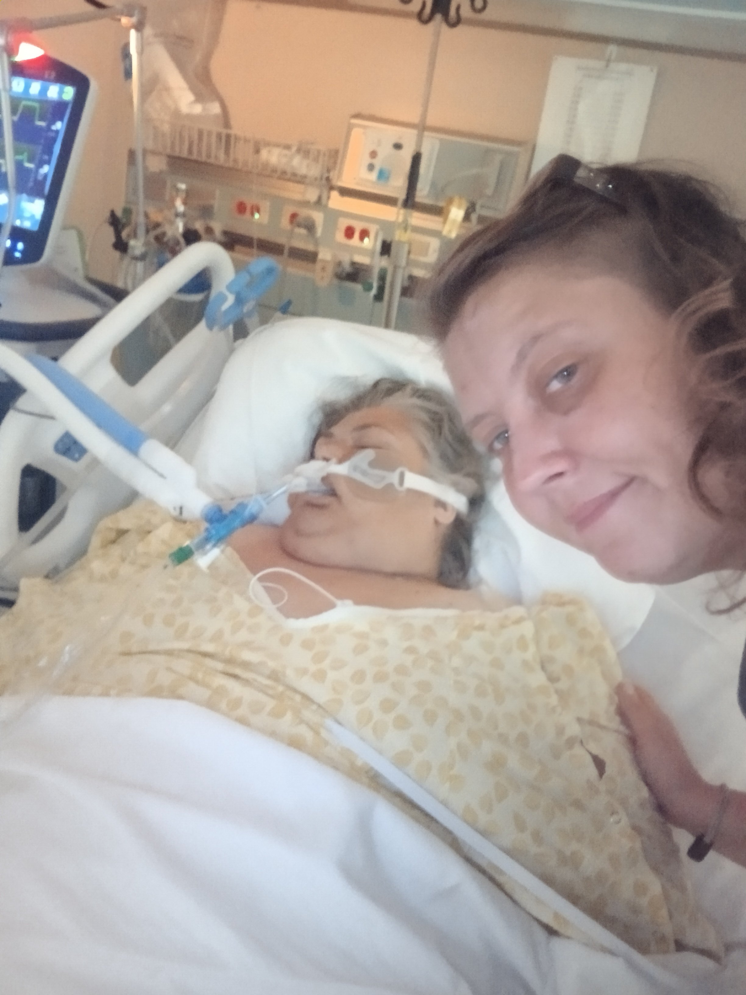 Elizabeth Woolery Shannon Templin gofundme donation