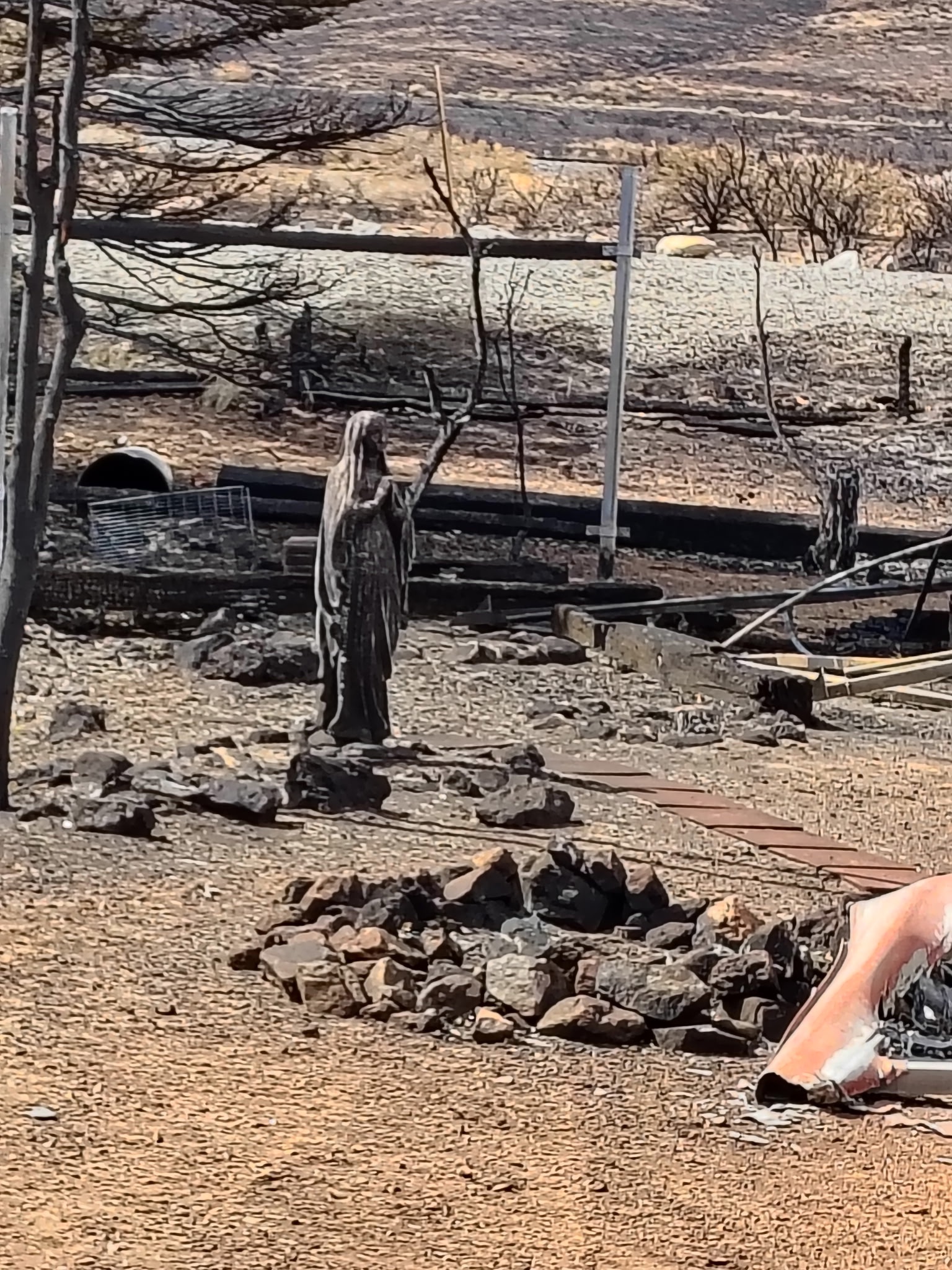 Help the Campbell Family Recover After the Tragic Hawk Fire campaign photo, 5 of 7