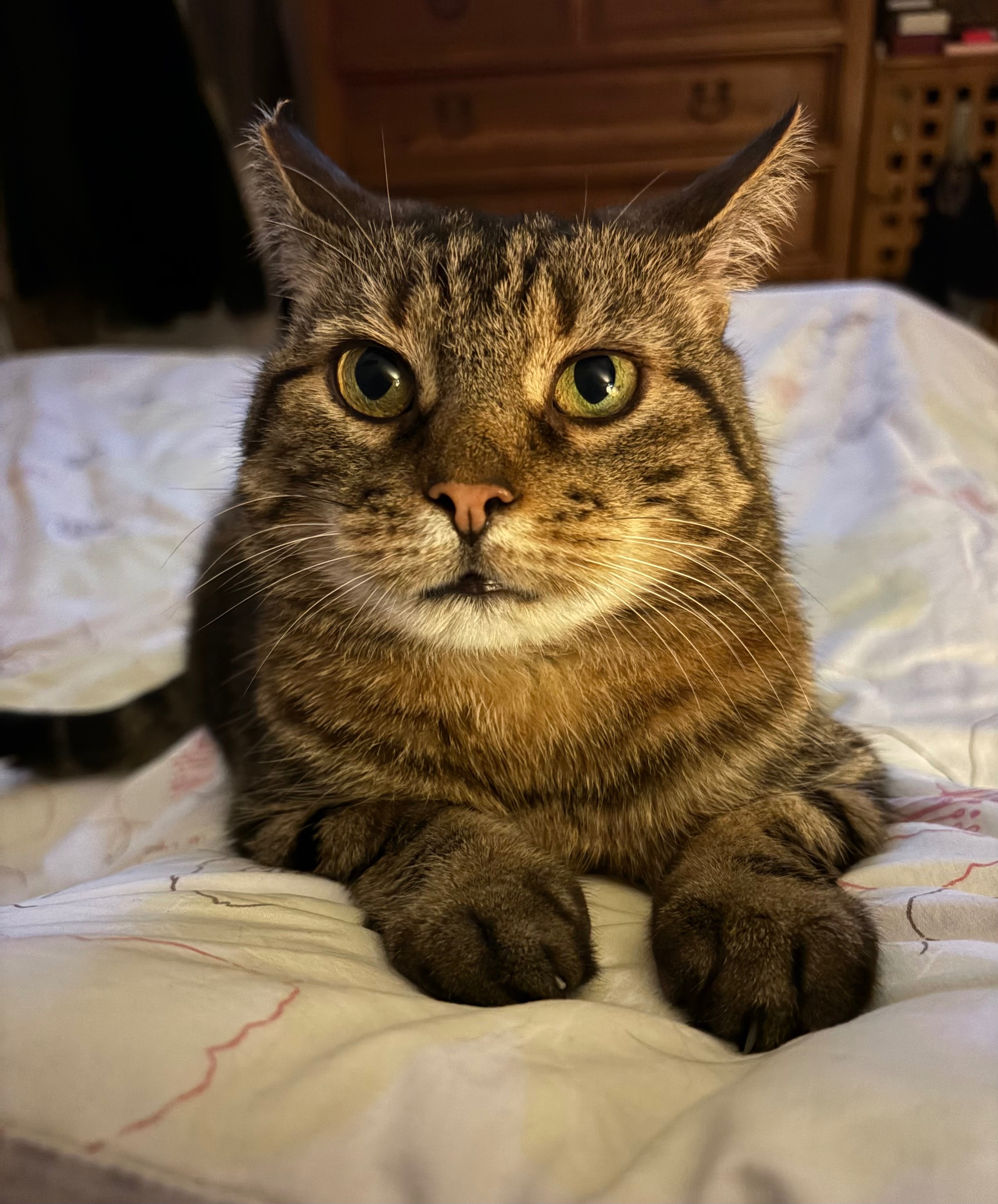 Larry is only four and needs a pacemaker campaign photo, 2 of 8