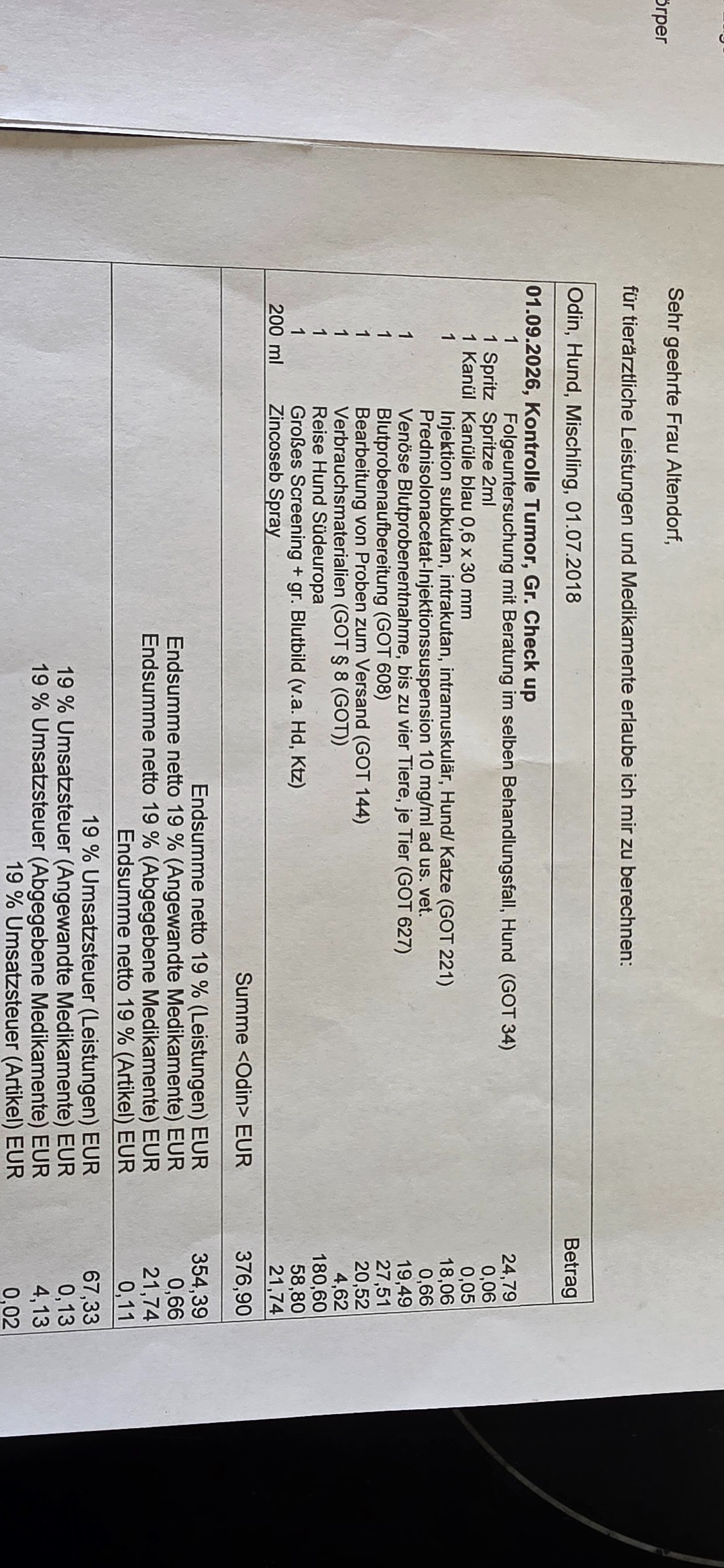 Kampagnen-Foto für HILFE für Odin, 4 von 8