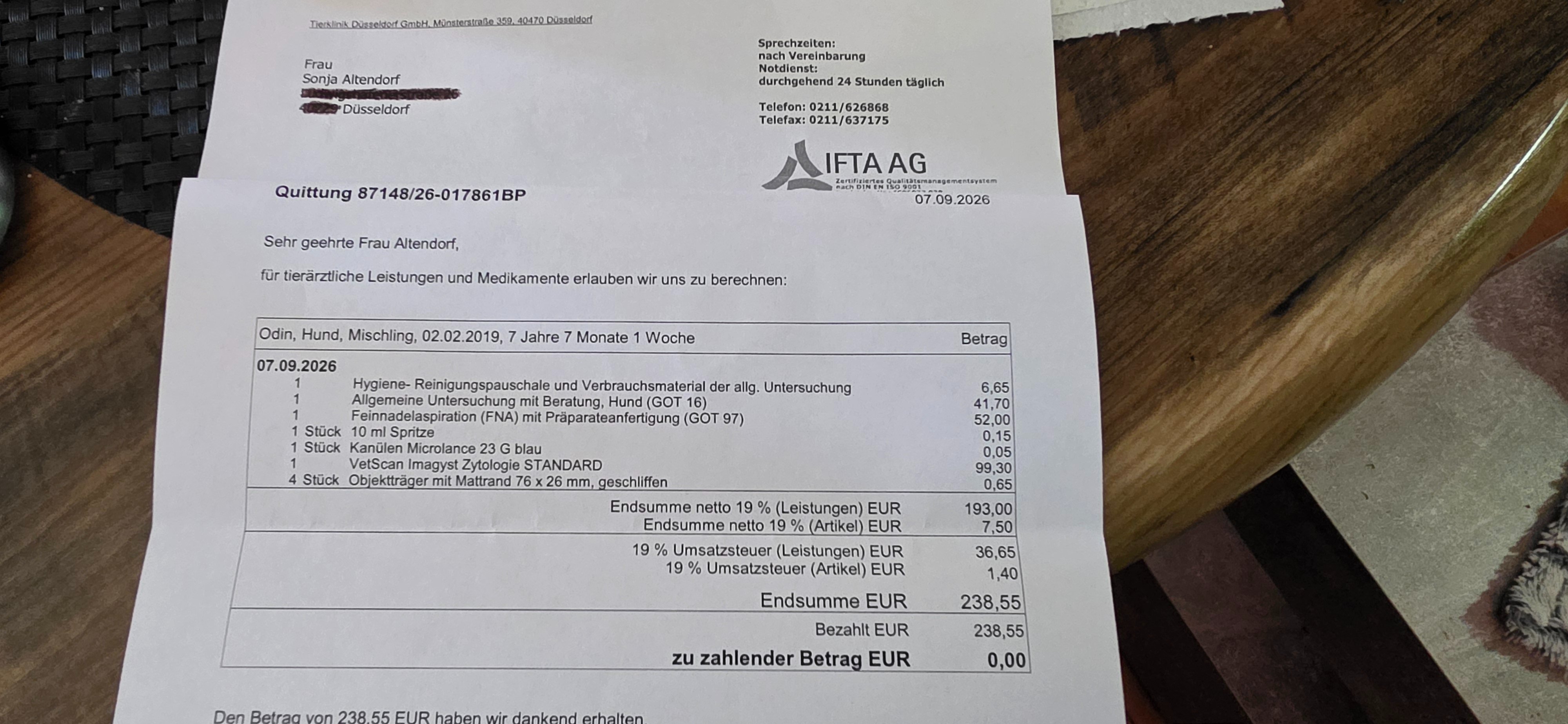 Kampagnen-Foto für HILFE für Odin, 6 von 8
