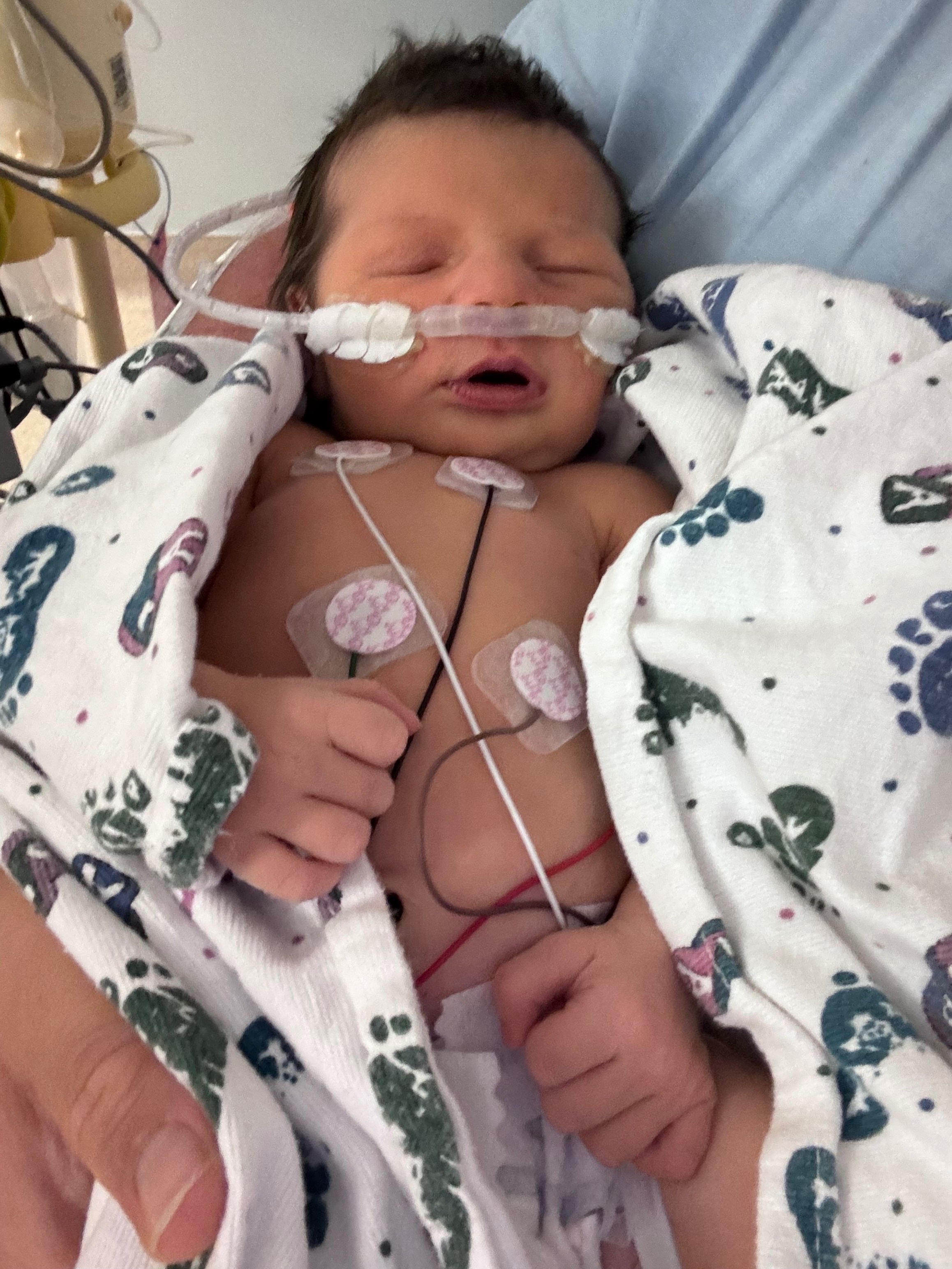 Help Save Winter Estrella’s Heart campaign photo, 2 of 8