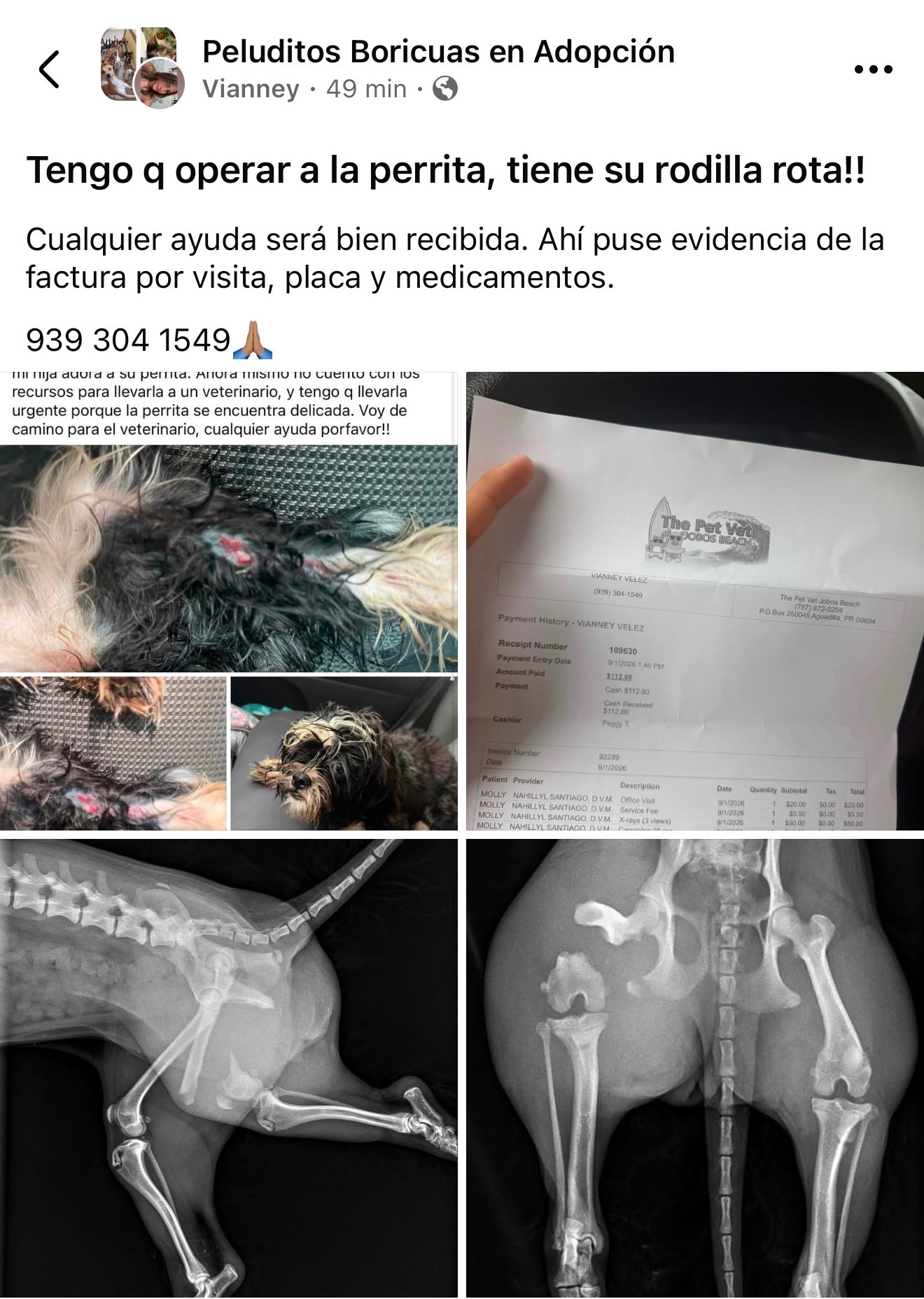 Ayuda para cubrir la operación de Molly campaign photo, 6 of 7