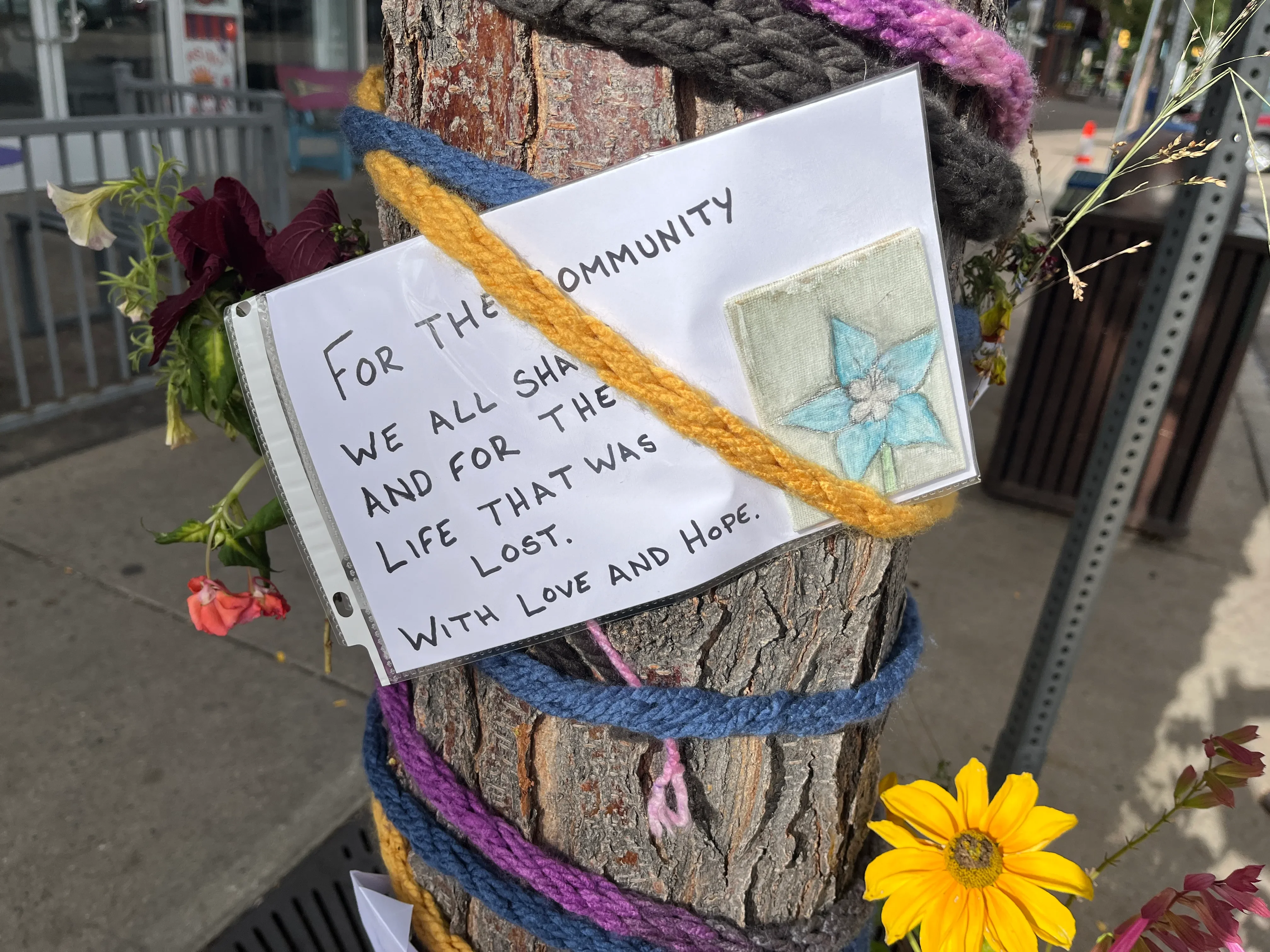 Support Karen Manley’s Recovery campaign photo, 5 of 7