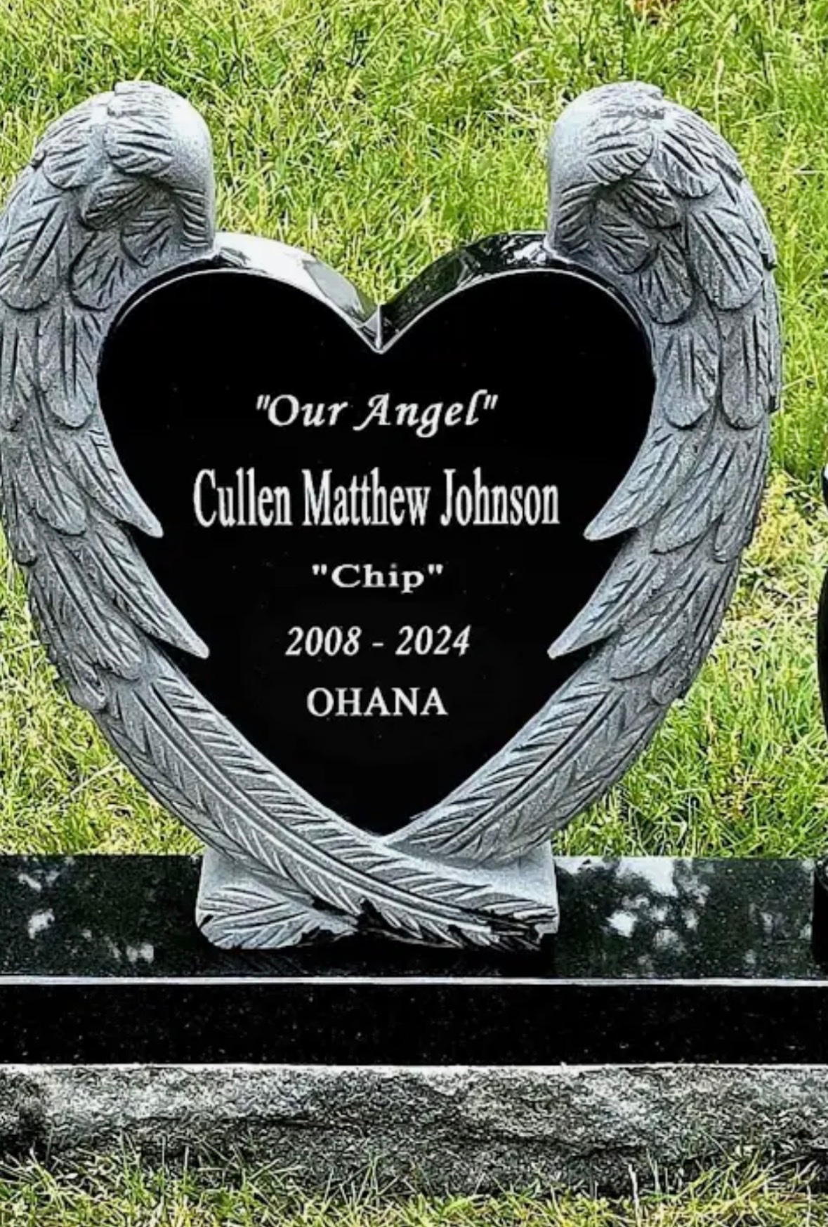 Sanai King Help Me Honor My Stepdad and My Future gofundme donation