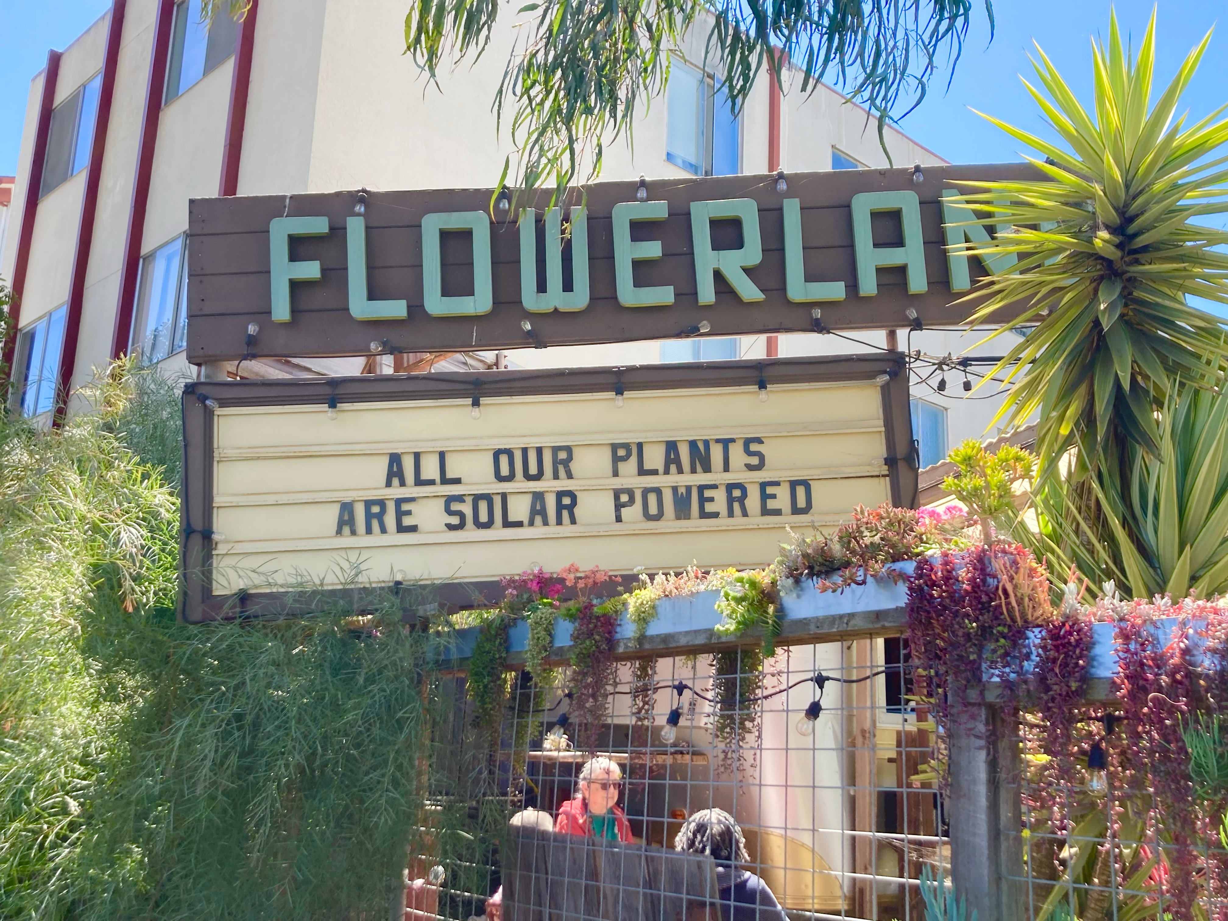 Help Restore Flowerland Marquee campaign photo, 2 of 8