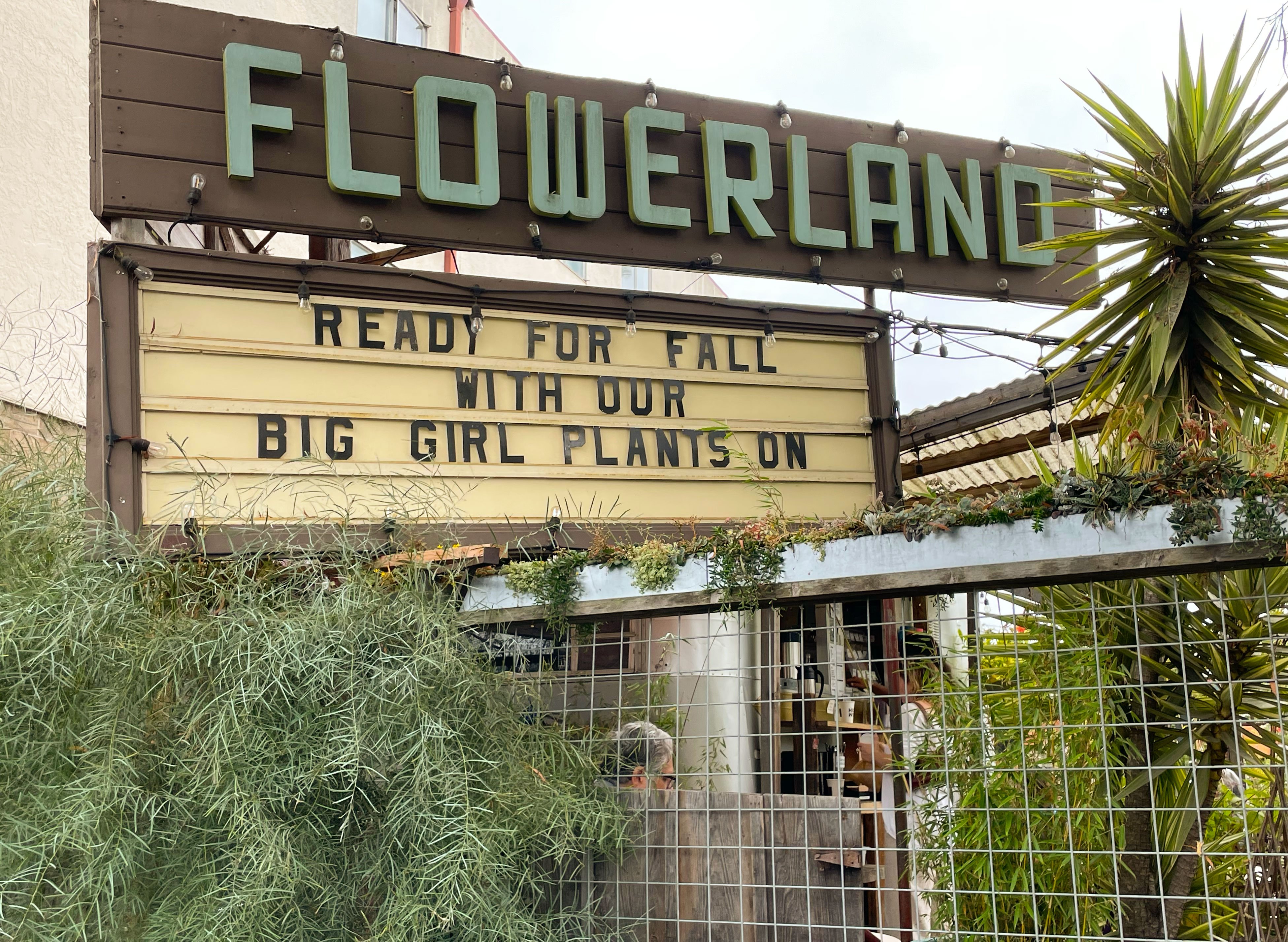 Help Restore Flowerland Marquee campaign photo, 4 of 8