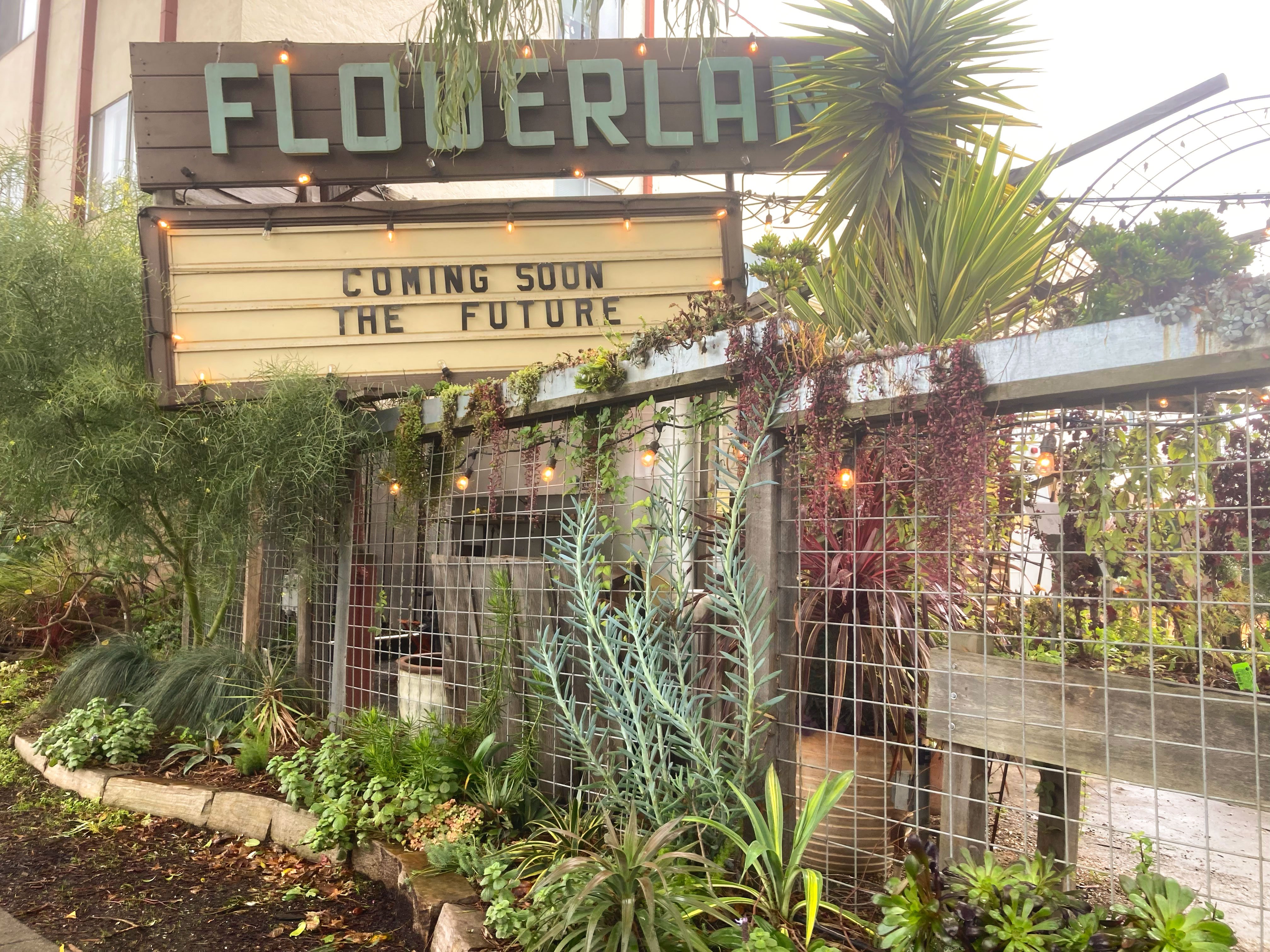 Help Restore Flowerland Marquee campaign photo, 5 of 8