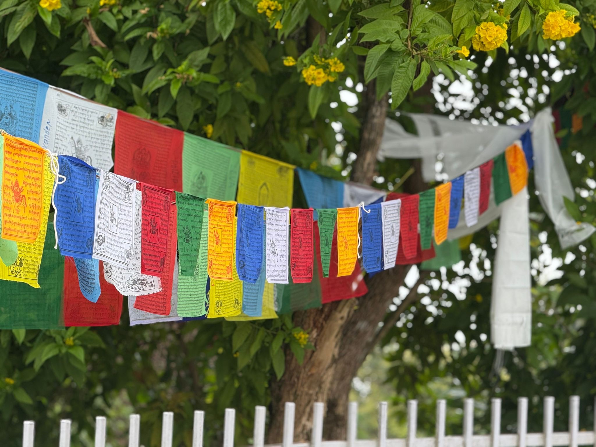 Support Nepal campaign photo, 6 of 8
