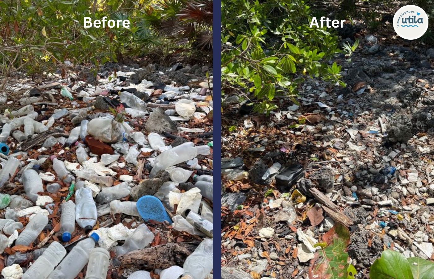 Help Utila Island Cleanups keep going though the end of 2026 campaign photo, 2 of 8