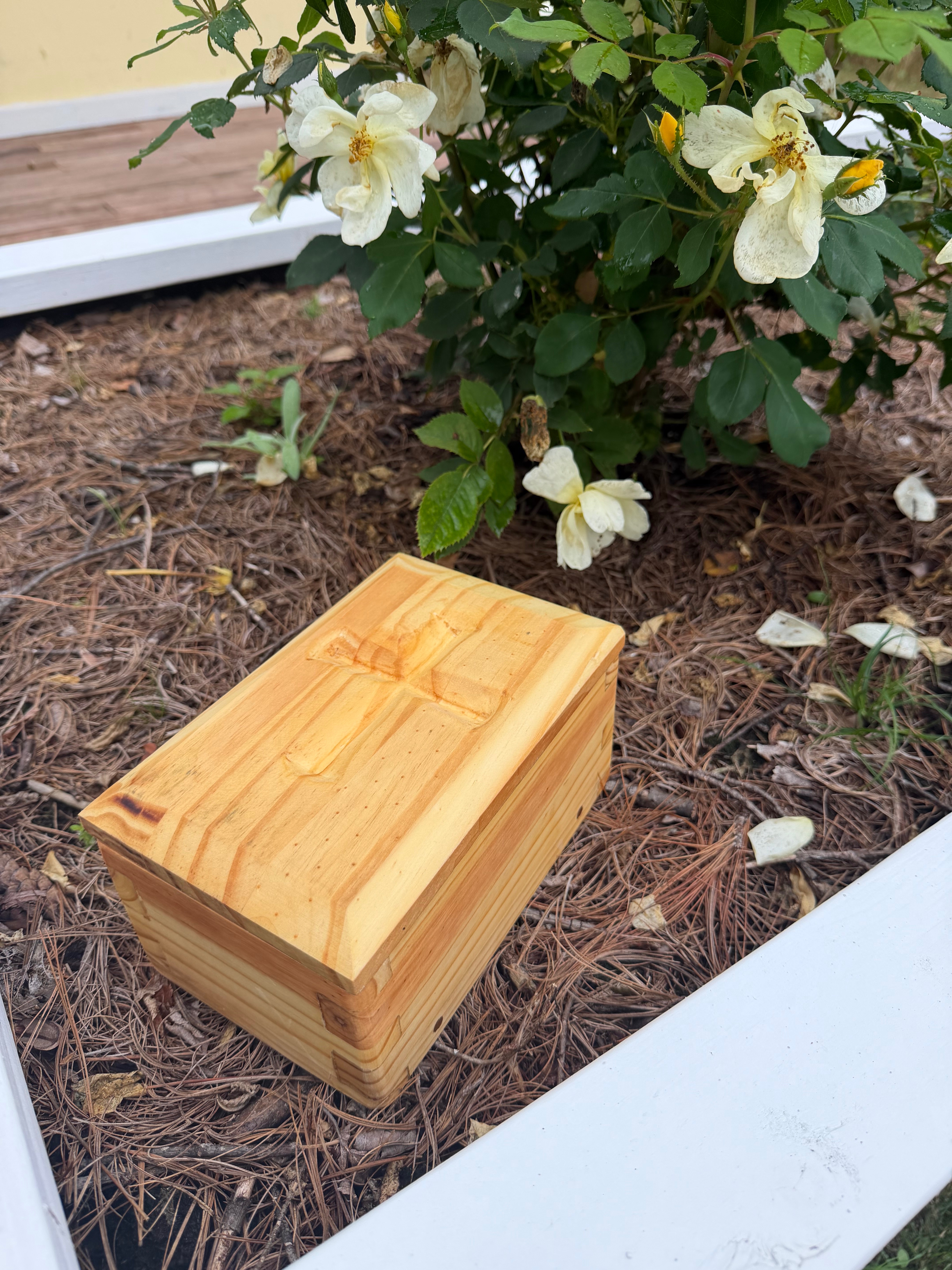 Katherine Glazier  Support for Maerwynn’s Burial Expenses gofundme donation